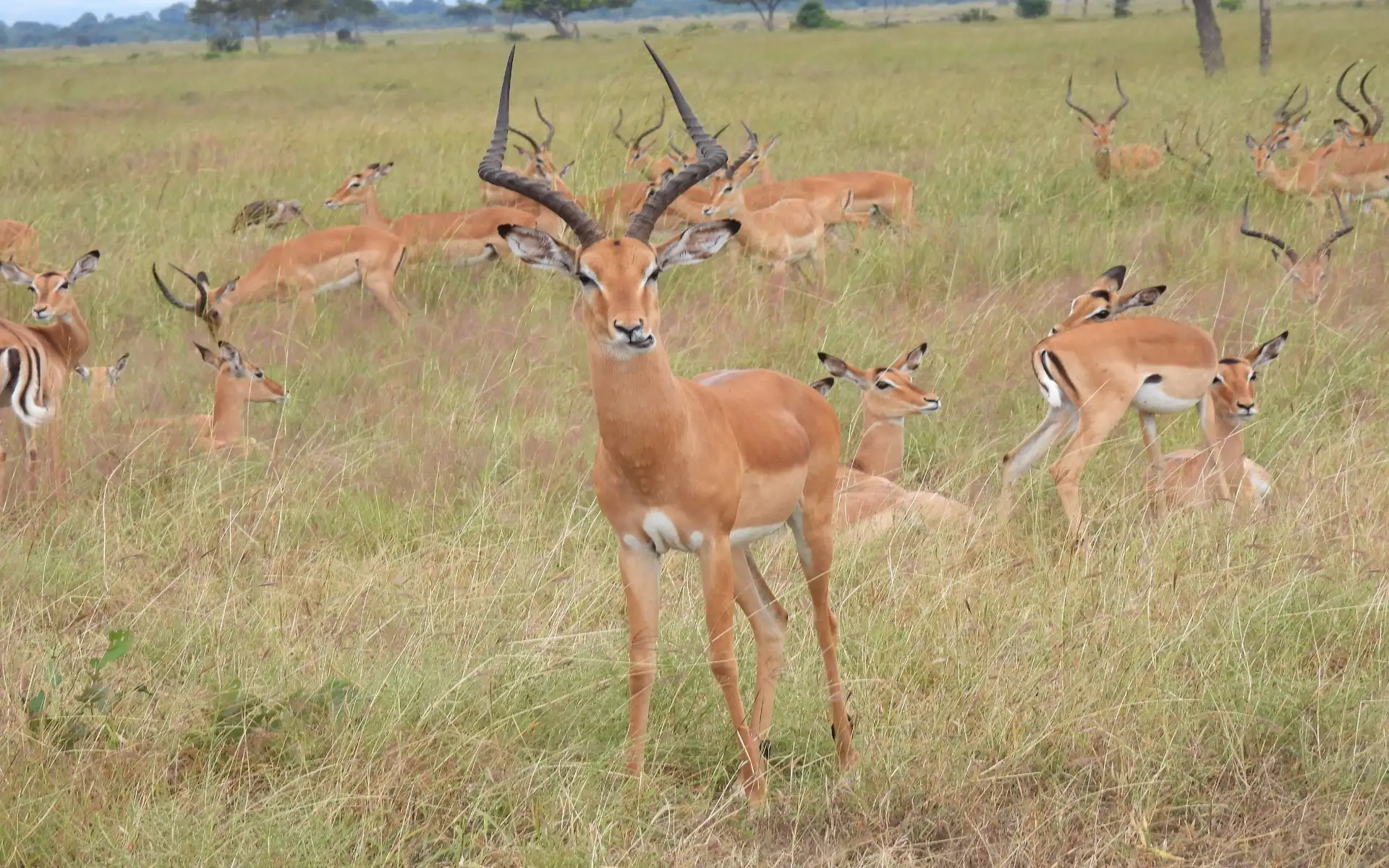 Tarangire National Park