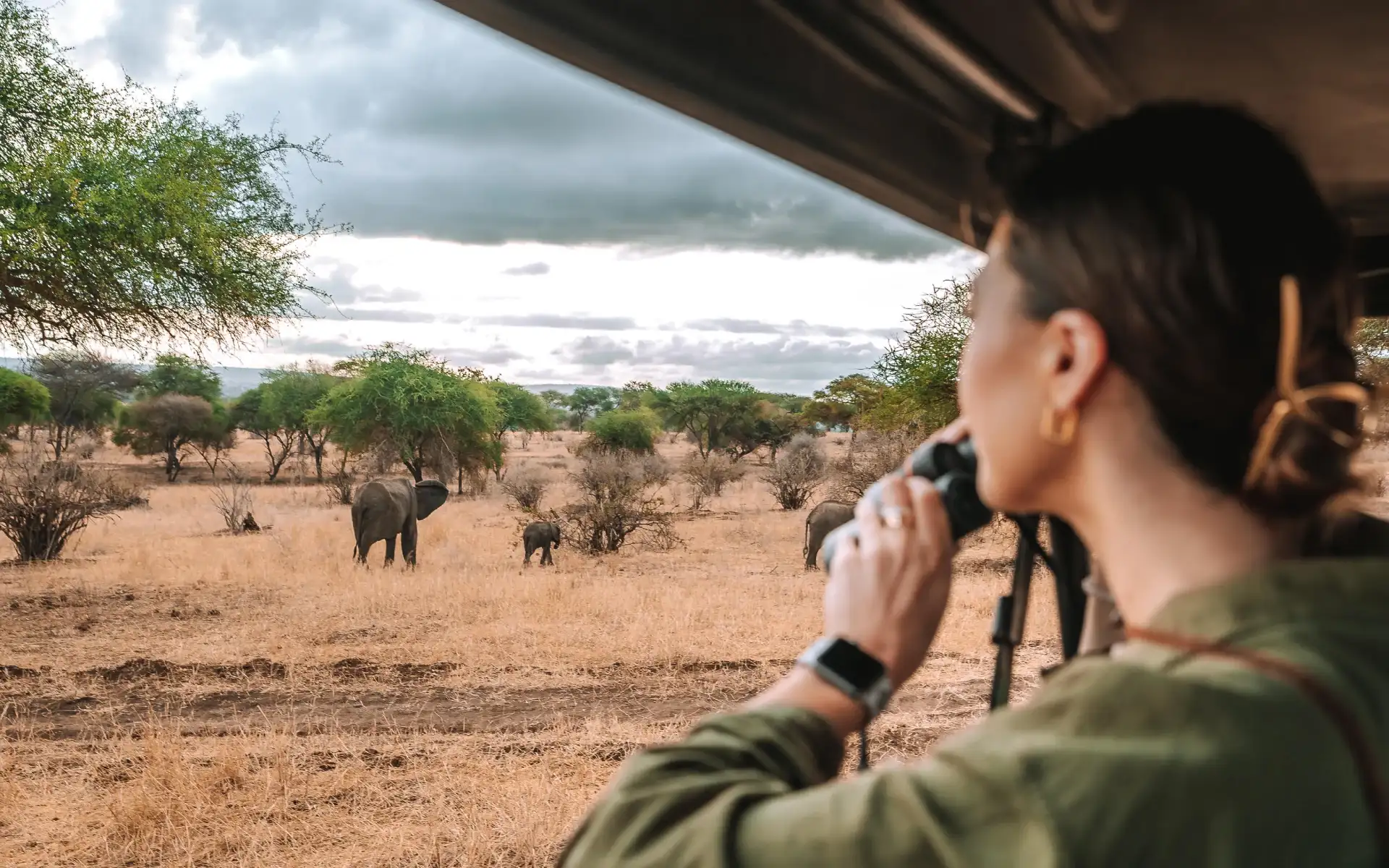 Antelopes of the Serengeti: A Field Guide for Safari-Goers
