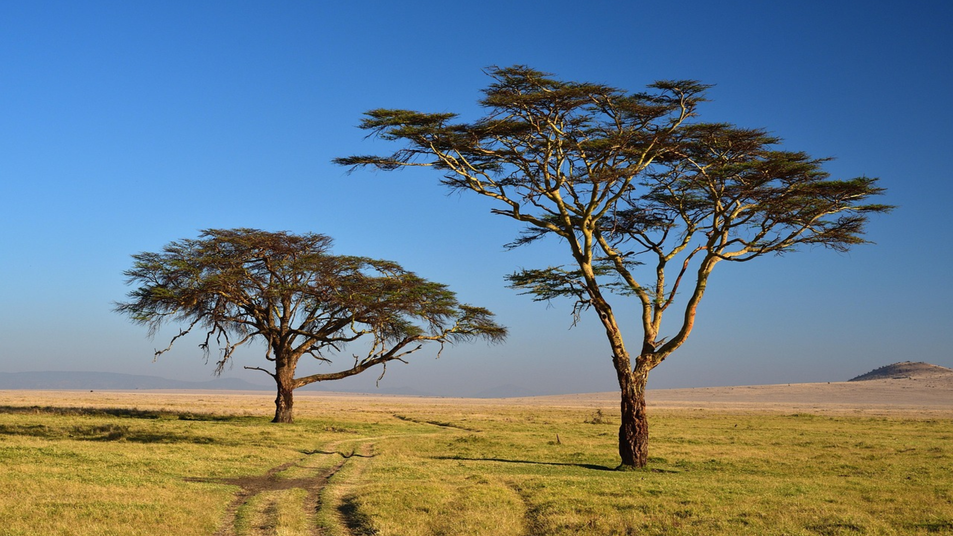Serengeti National Park