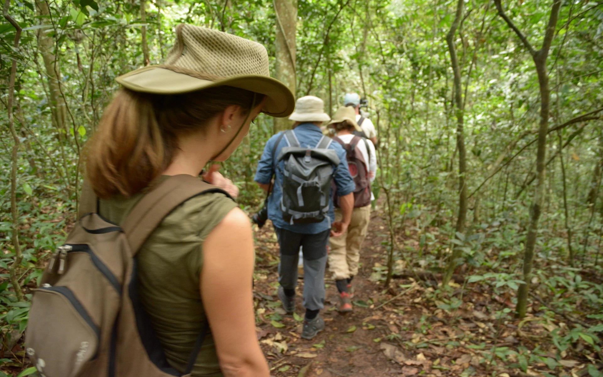  Gorilla Tracking and Transfer to Lake Mburo National Park