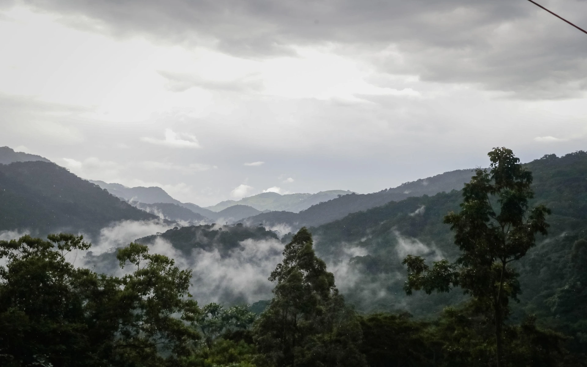 Climb Rwenzori