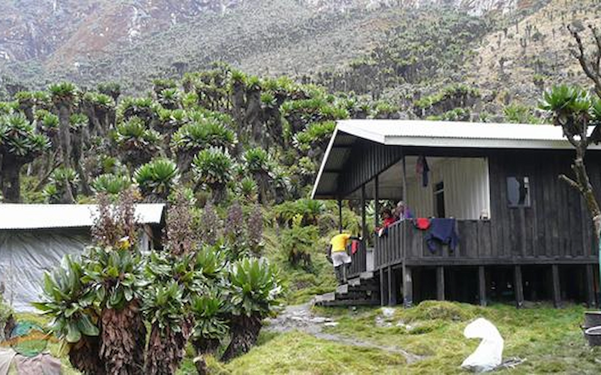 Bujuku Camp