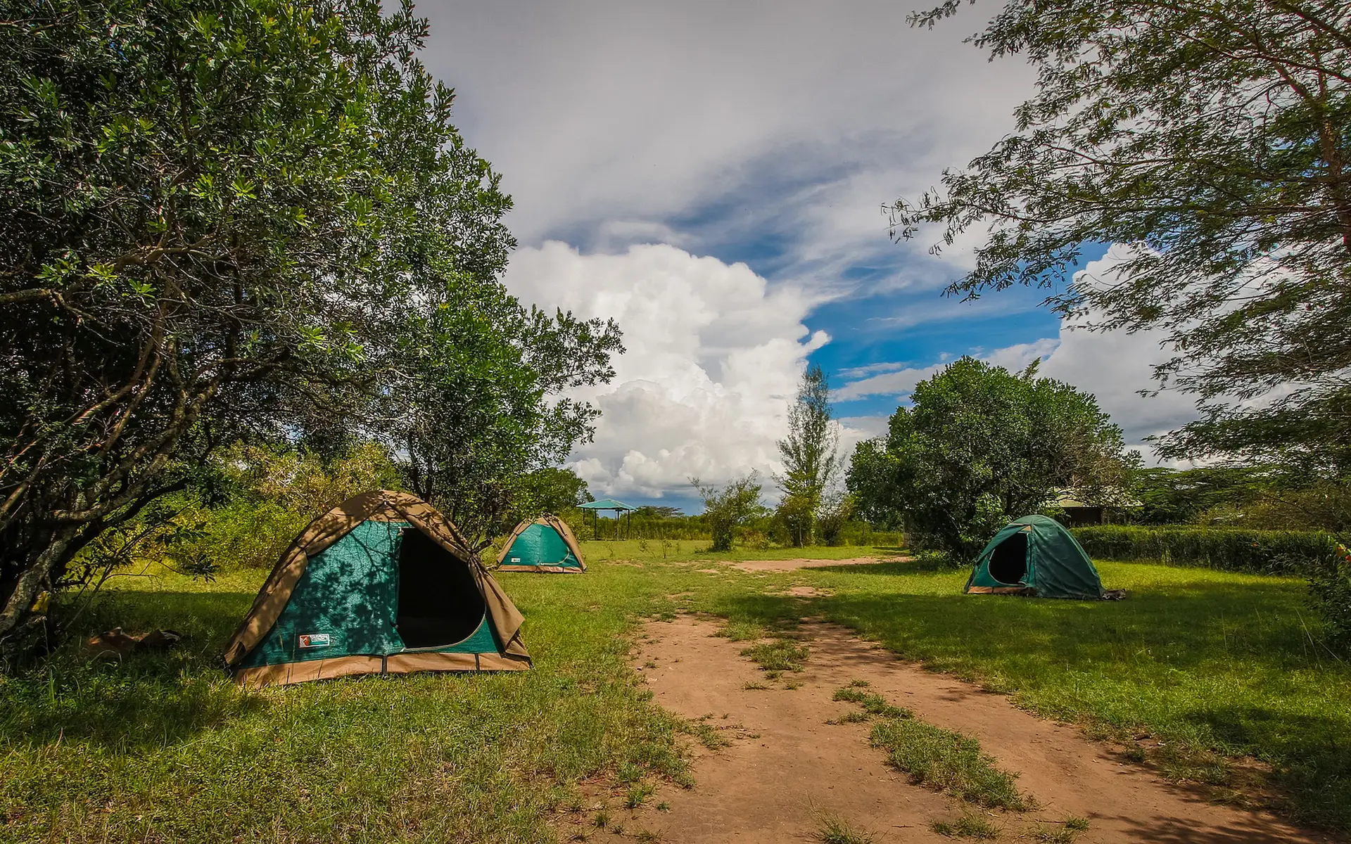 Aruba Mara Camp