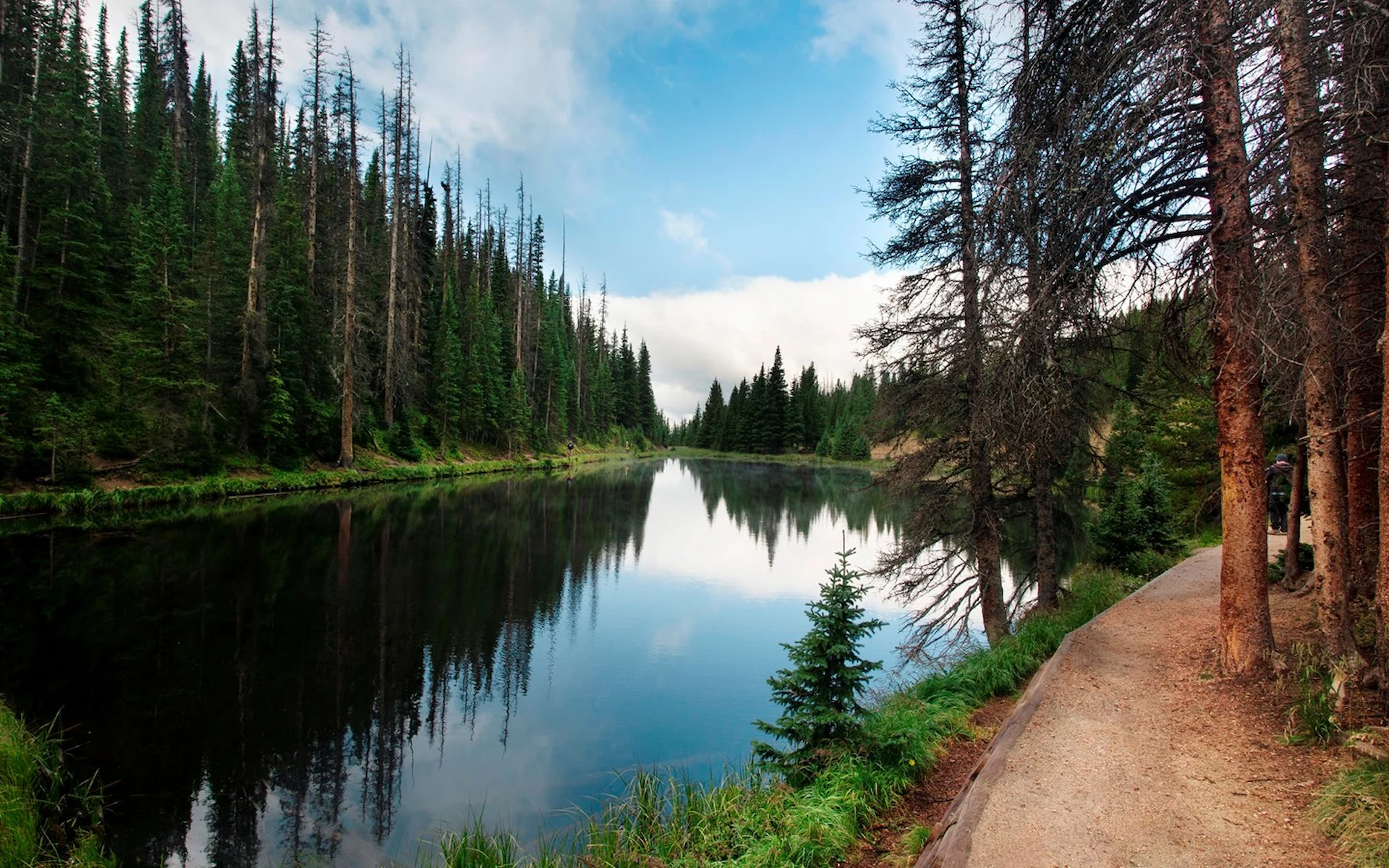 Irene Lakes Camp