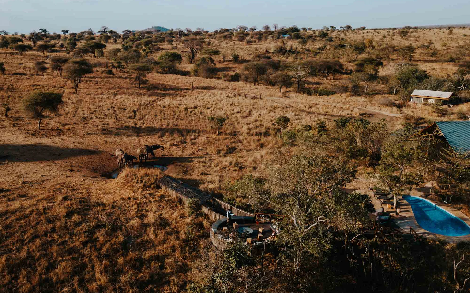 Nimali Tarangire luxury safari lodge