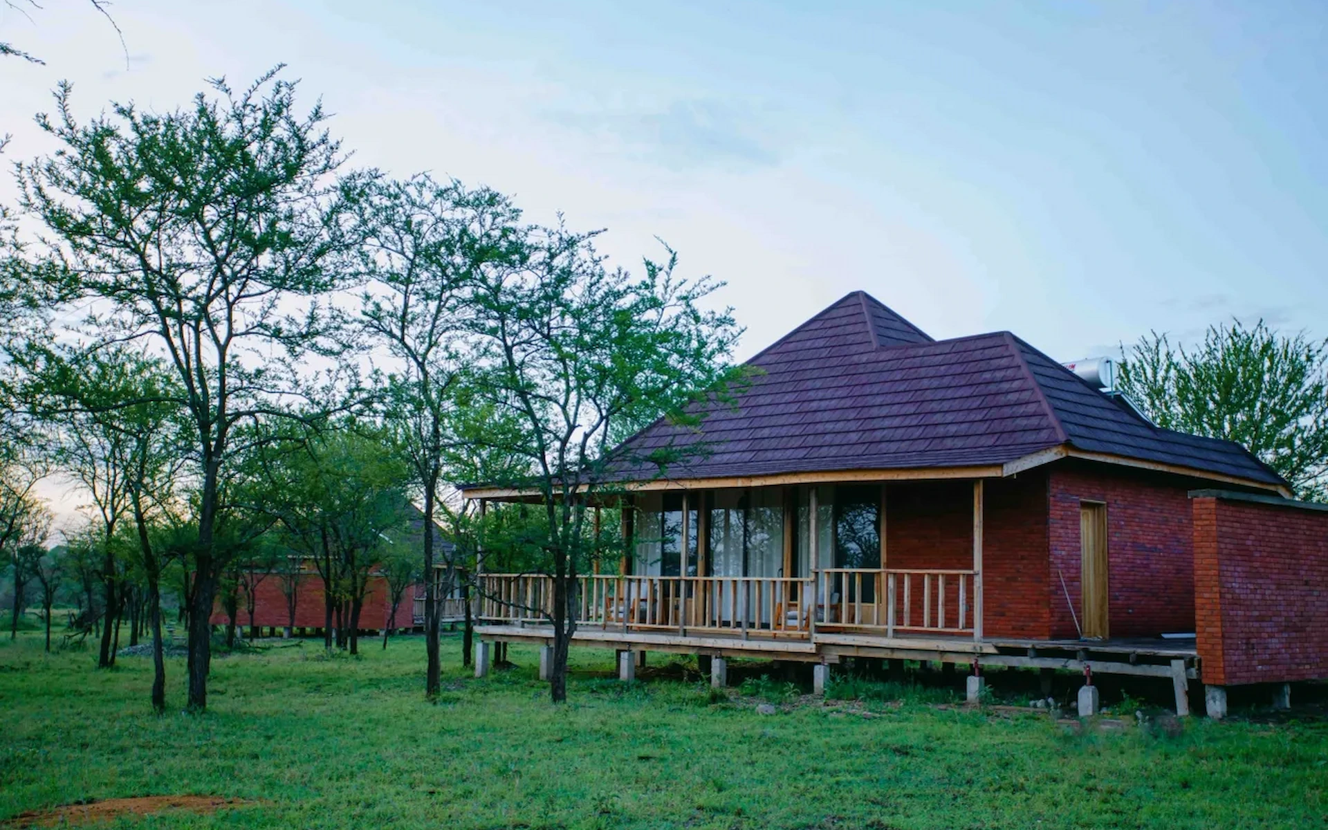 Into Wild Africa Luxury Safari Lodge