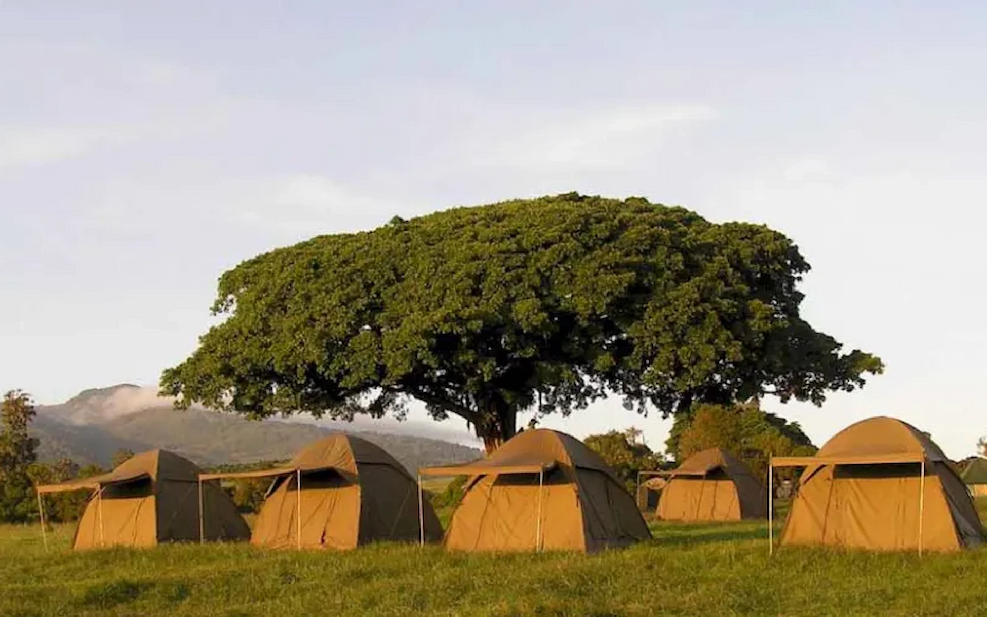 Simba Campsite A