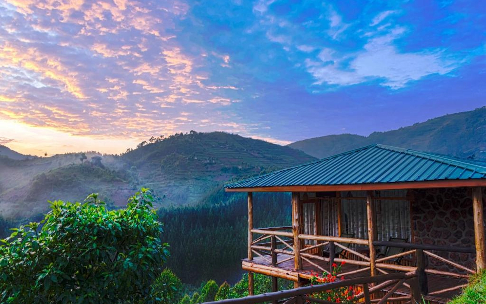  Rushaga Gorilla Lodge
