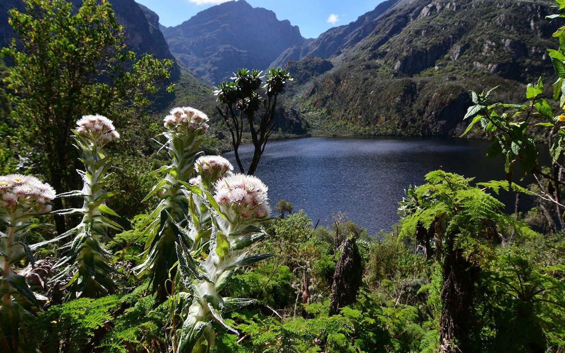 Irene Lakes Camp