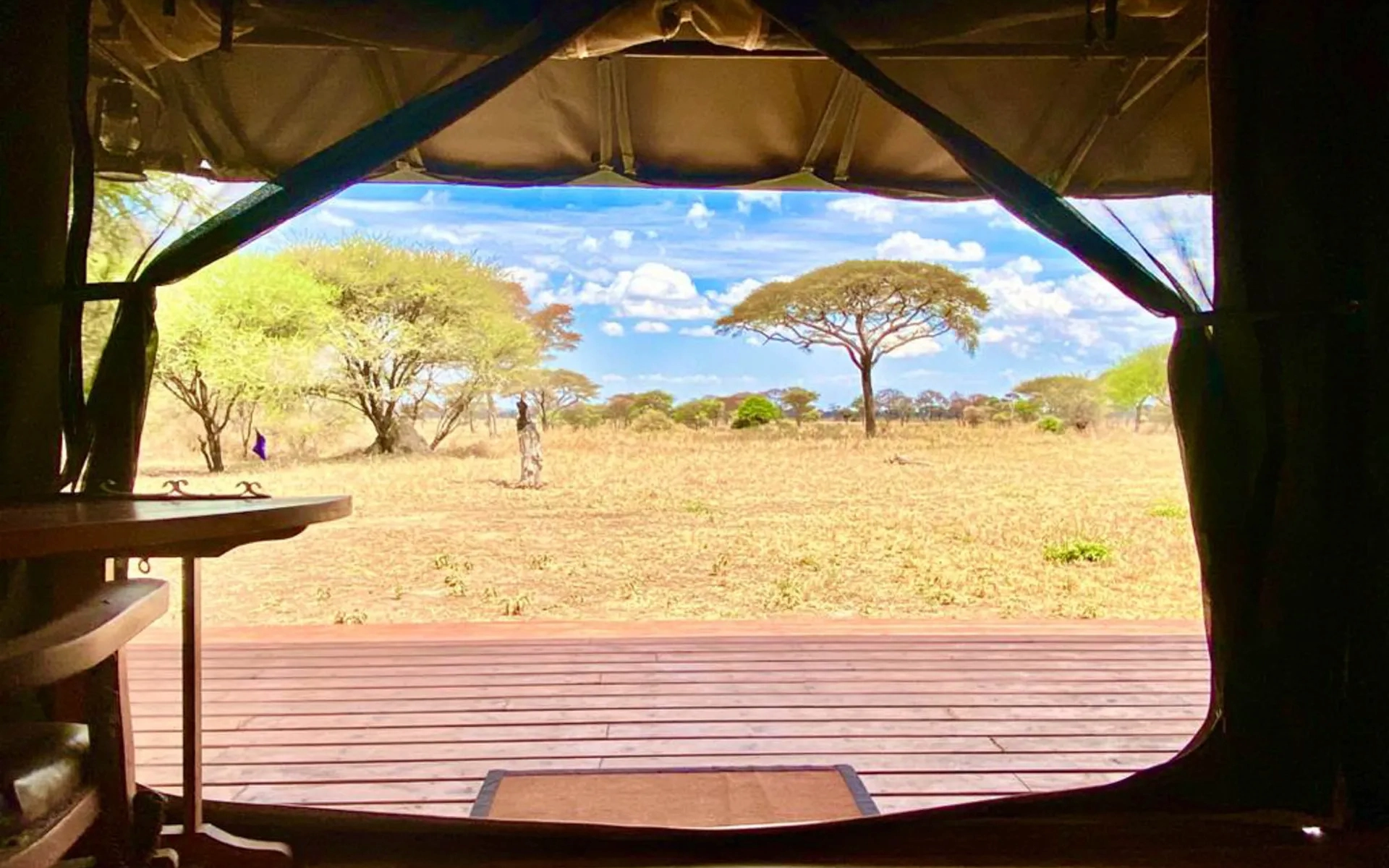 Tarangire Public Campsites 