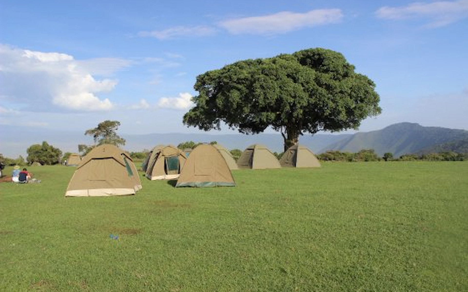 Simba Campsite A