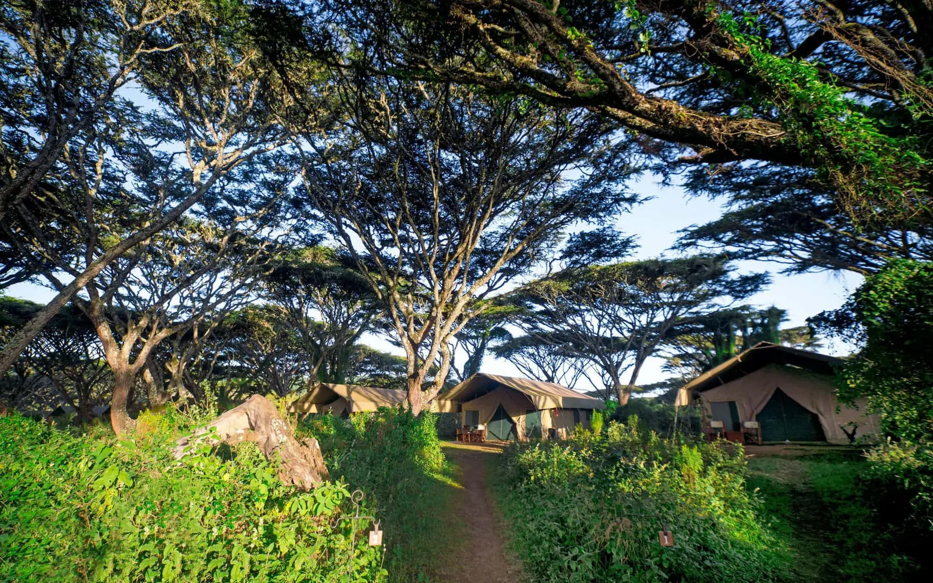 Lemala Ngorongoro Tented Camp