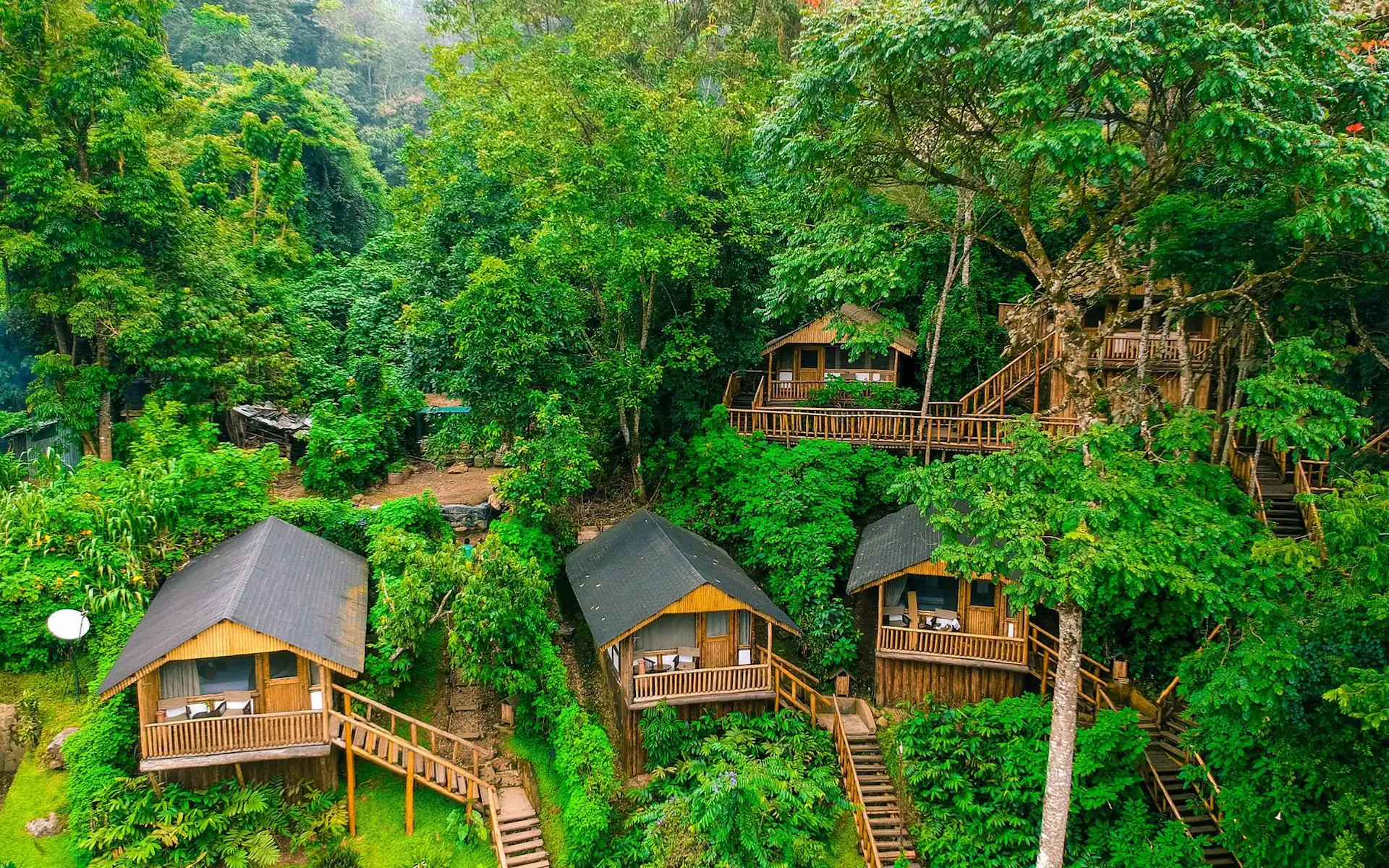 Buhoma forest lodge