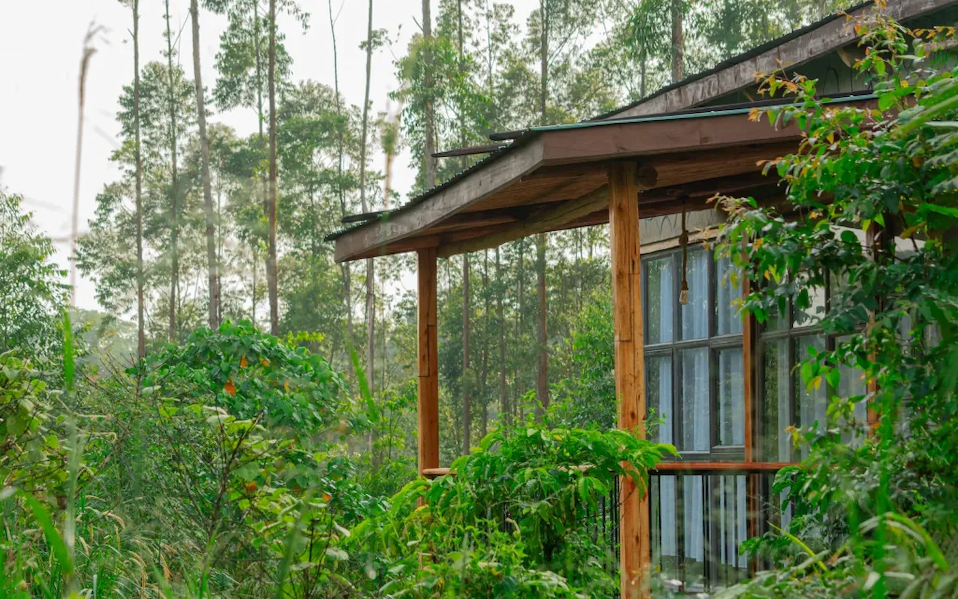 Bweza Kibale Lodge