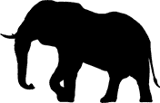 Elephant