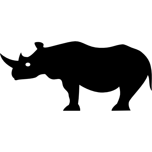 Black rhinoceros