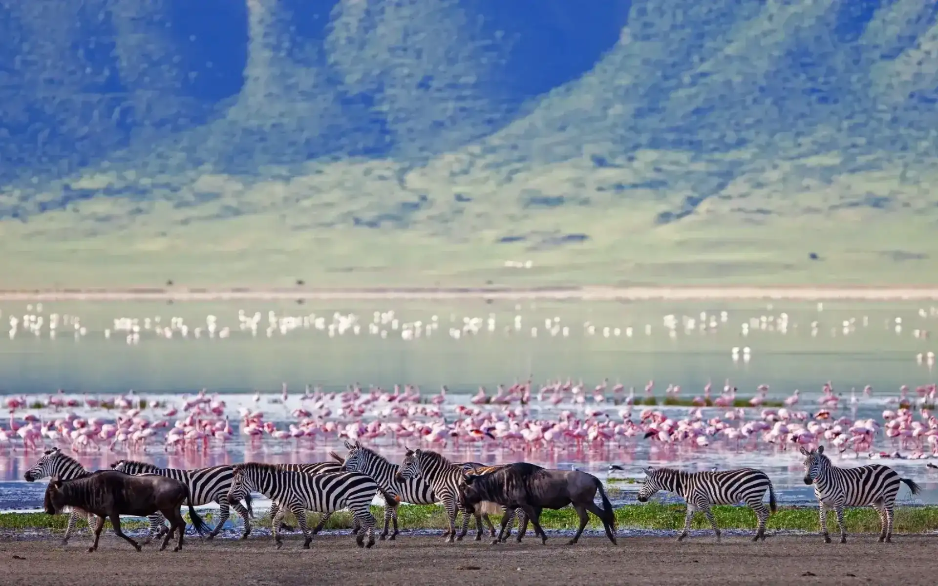  Ngorongoro Conservation Area