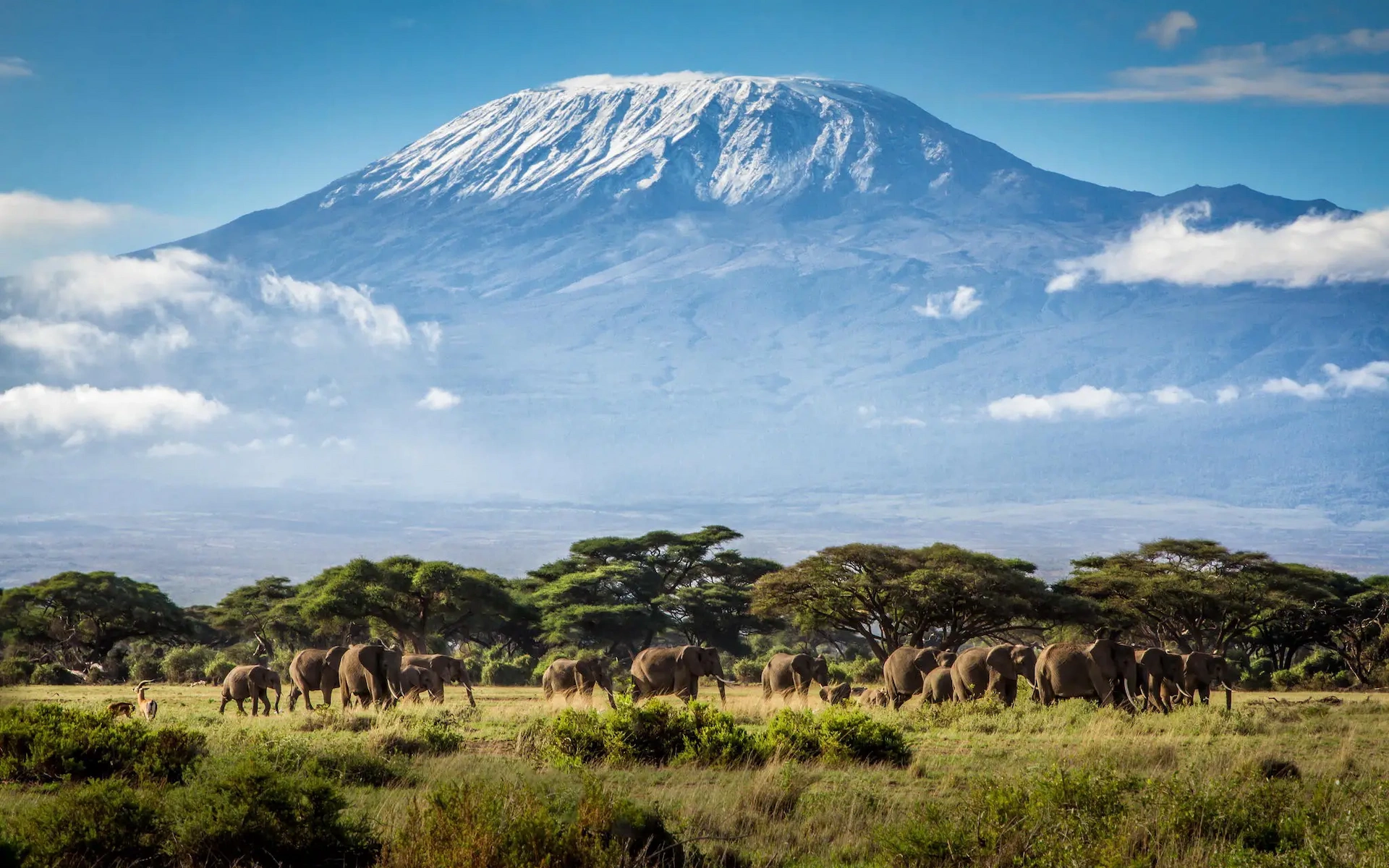 Kilimanjaro National Park — photo 5