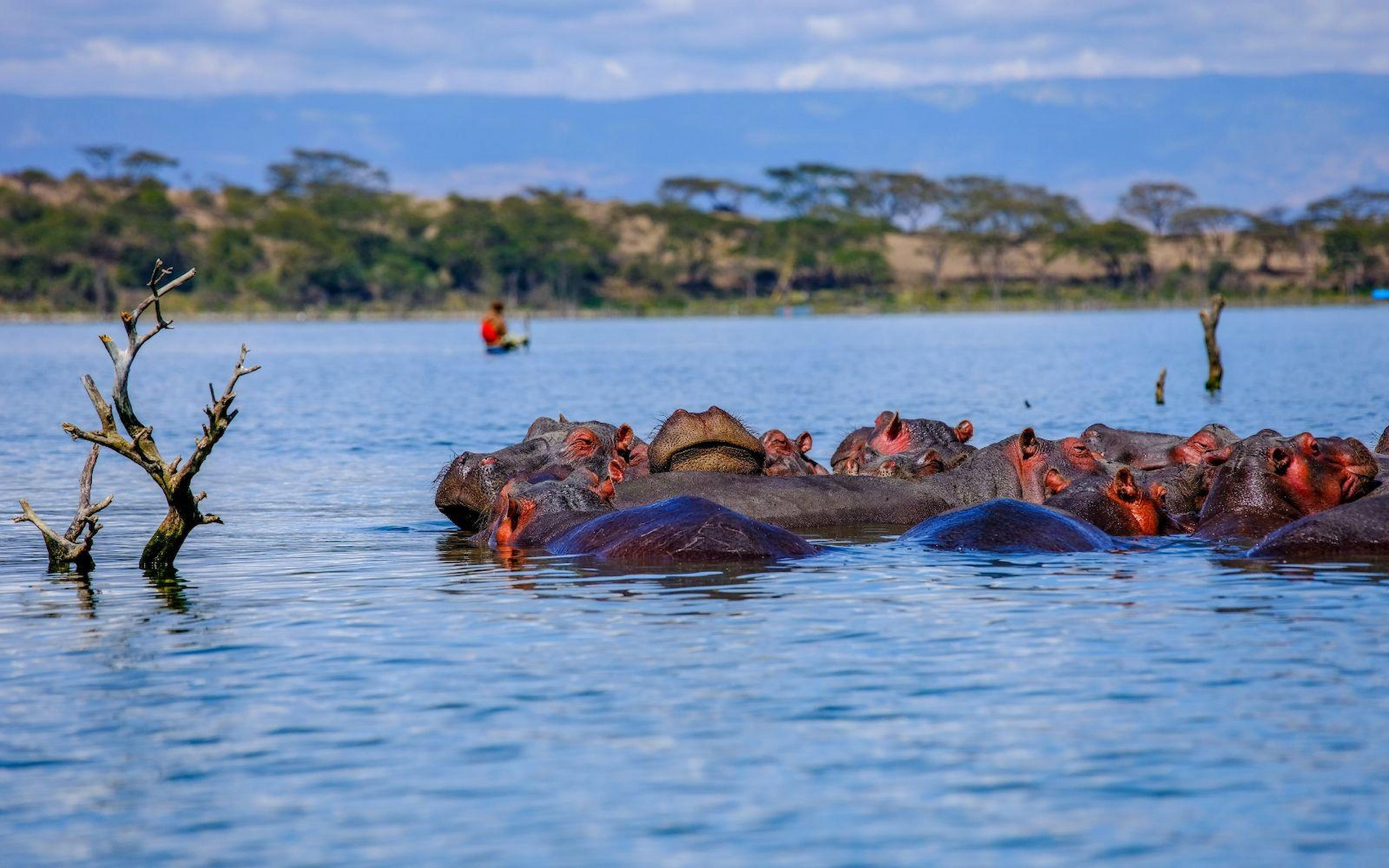 Lake Naivasha — photo 3