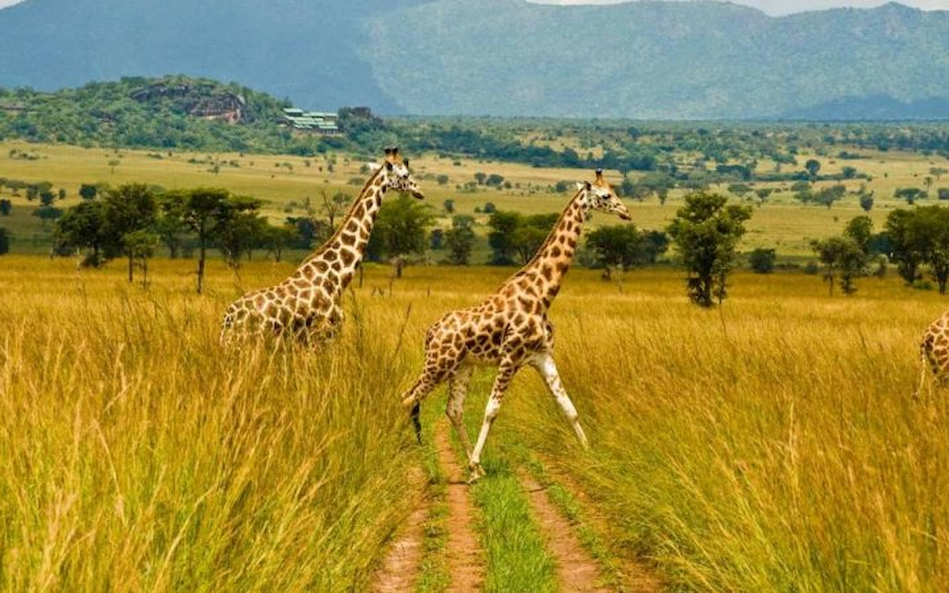  Kidepo Valley National Park — photo 3