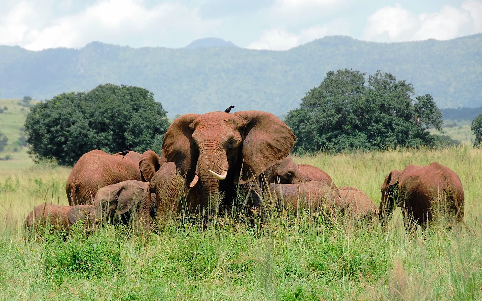  Kidepo Valley National Park — photo 4