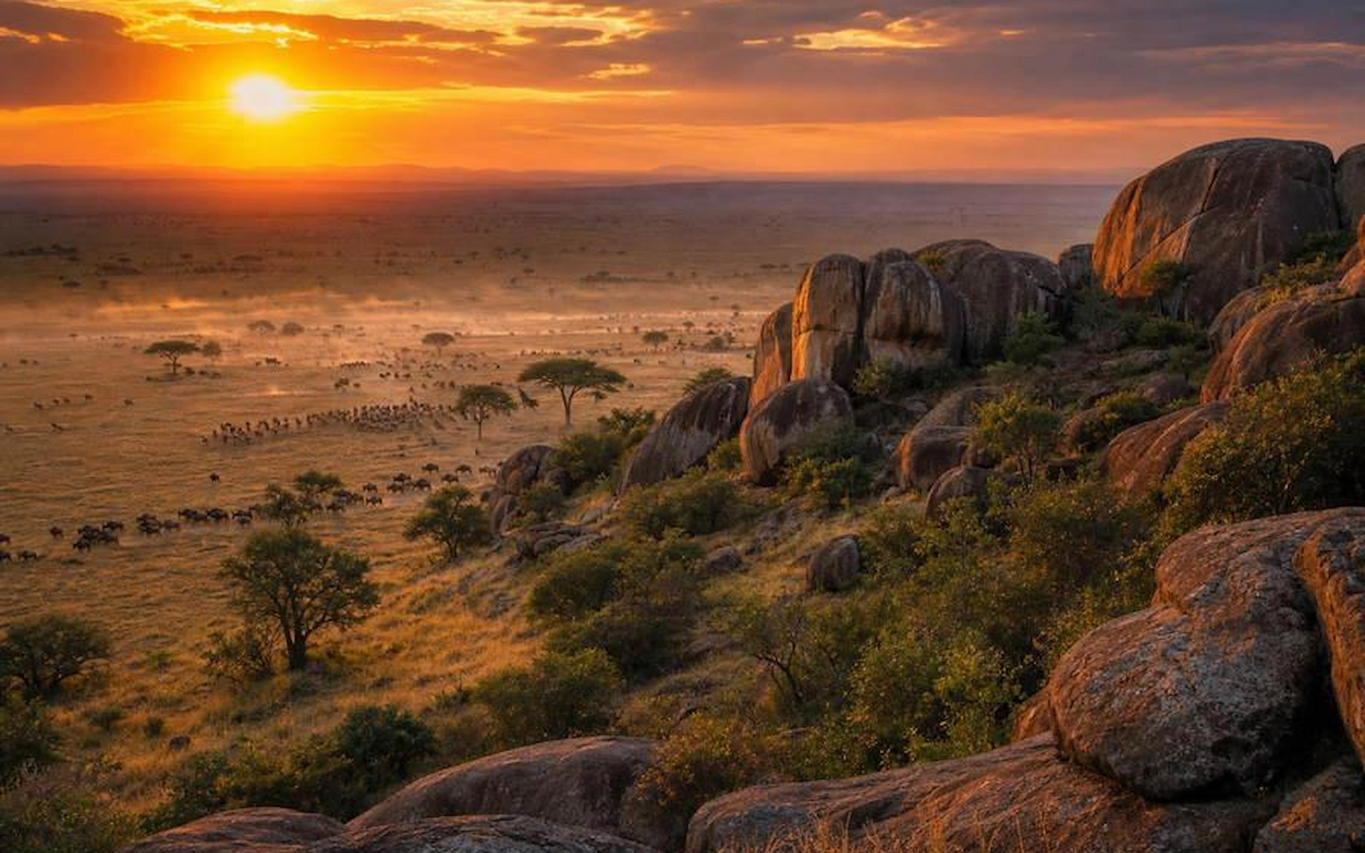 Serengeti National Park — photo 7