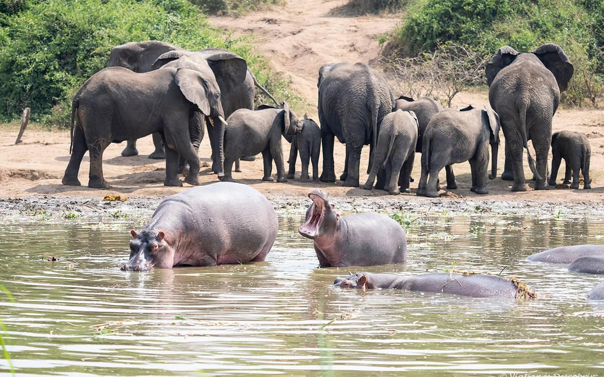 Queen Elizabeth National Park — photo 1