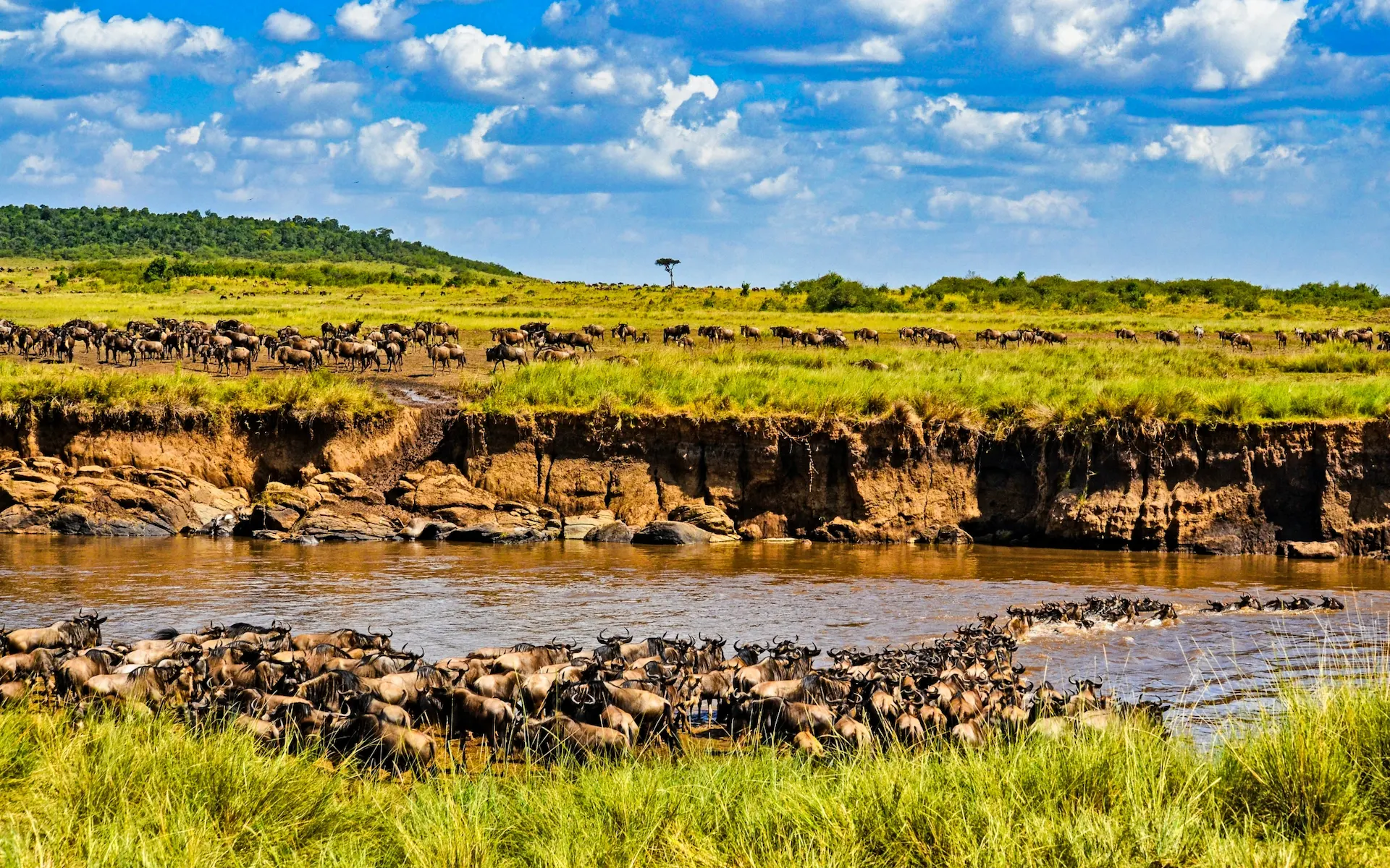 Maasai Mara National Reserve  — photo 10