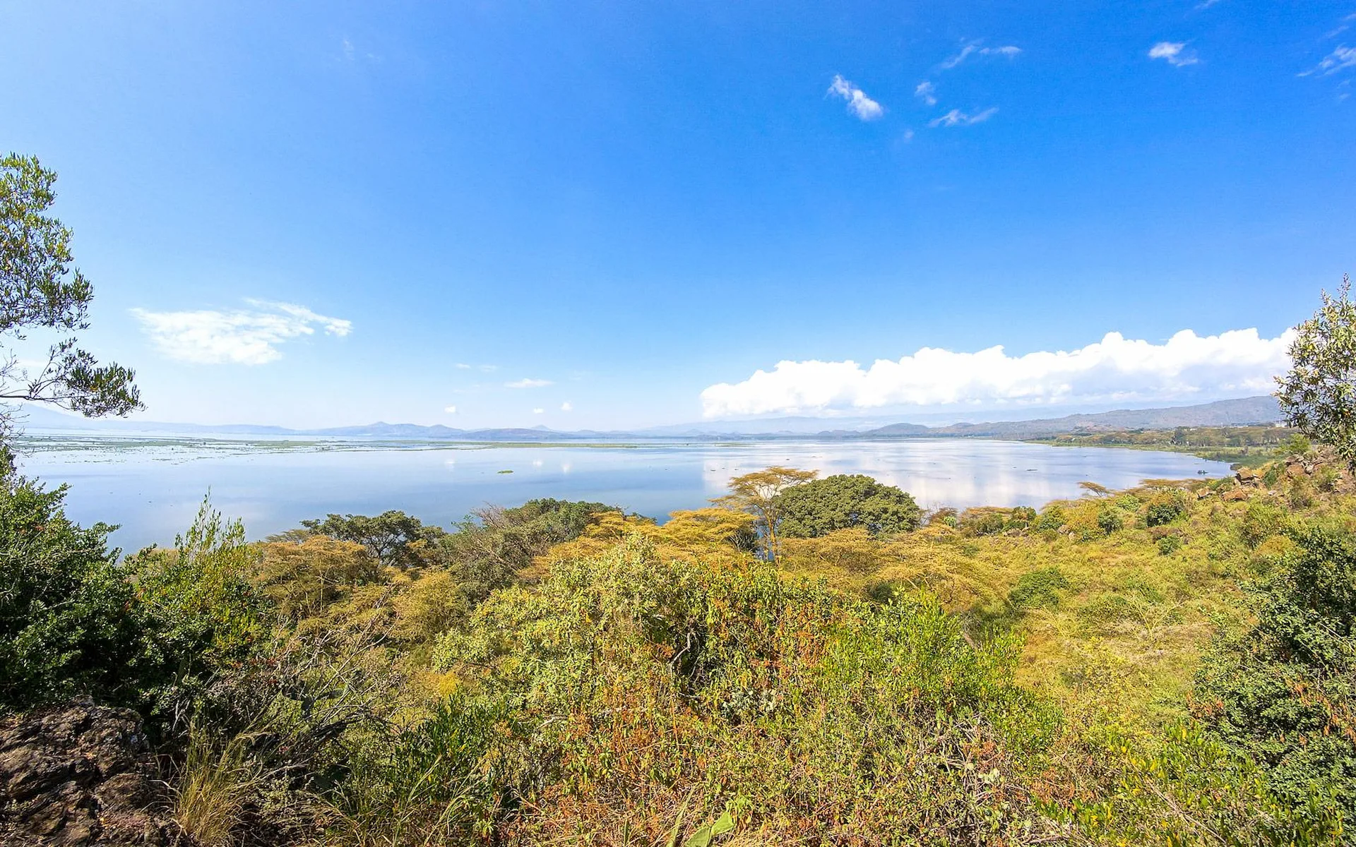 Lake Naivasha — photo 4