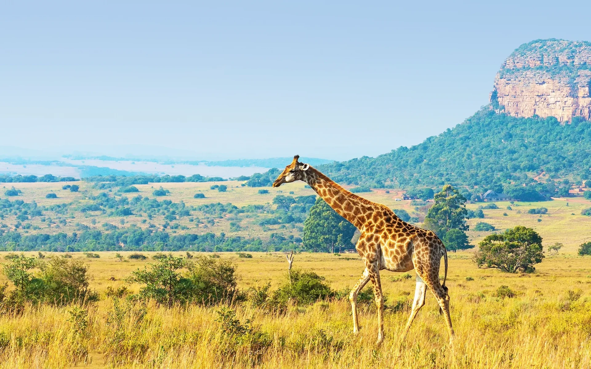 Ngorongoro Conservation Area — photo 2
