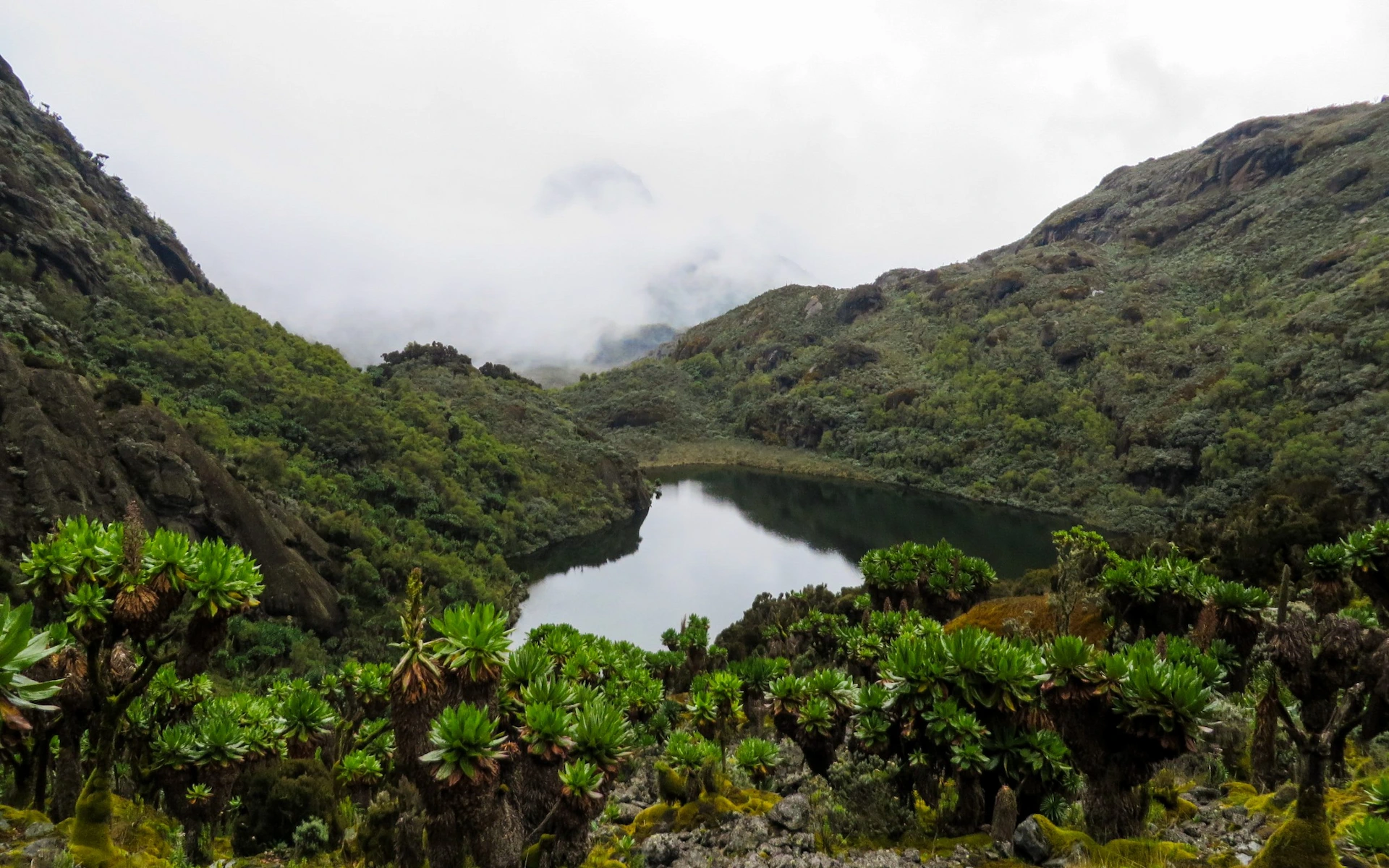 Lake Bukurungu Camp — photo 4