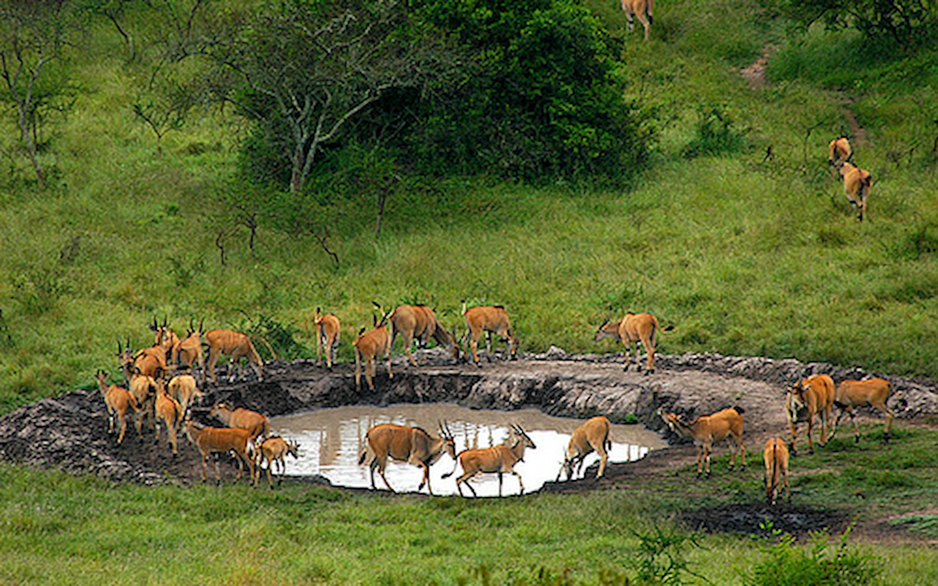 Lake Mburo National Park — photo 2