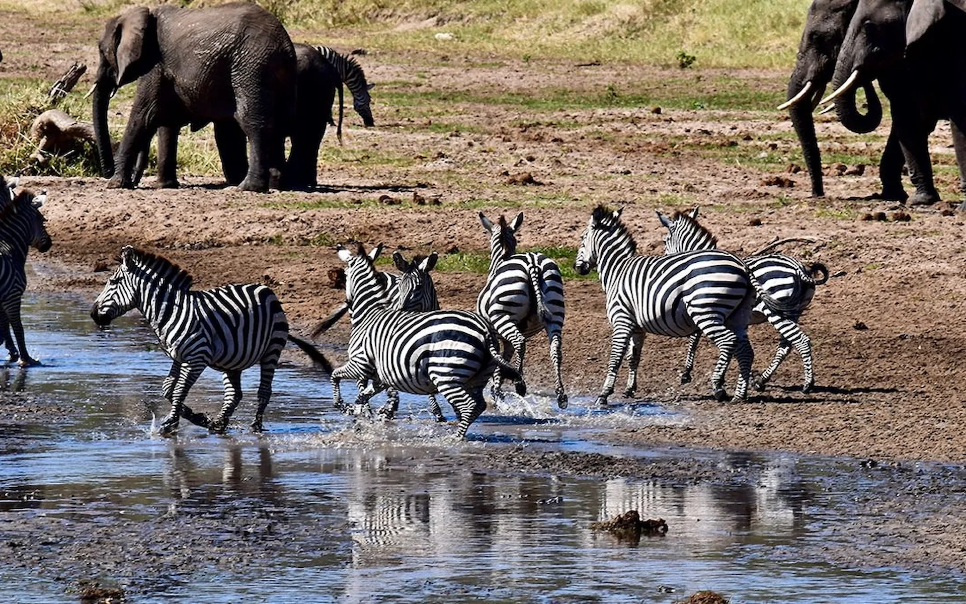 Tarangire National Park — photo 7