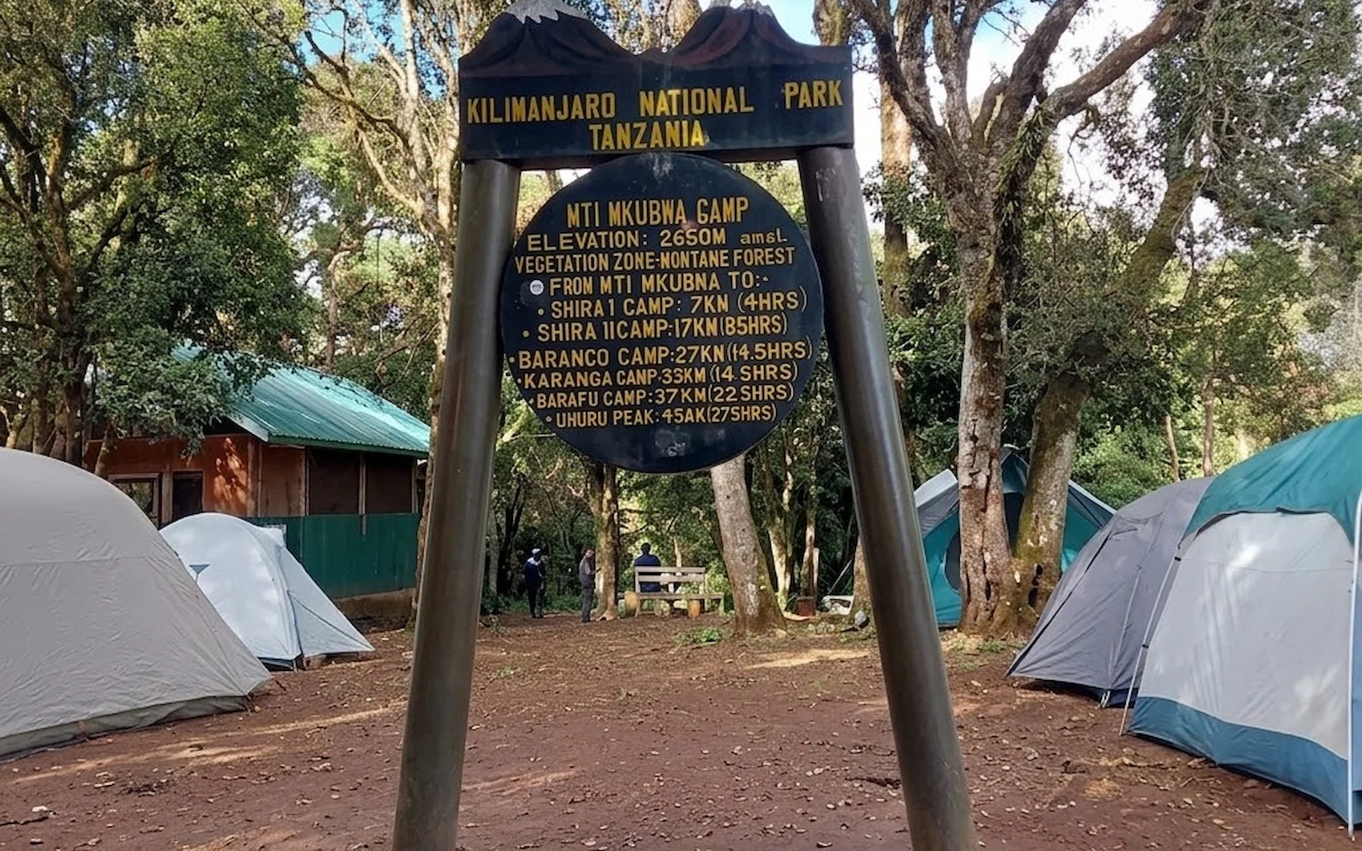 Mti Mkubwa (2,750m) — photo 2