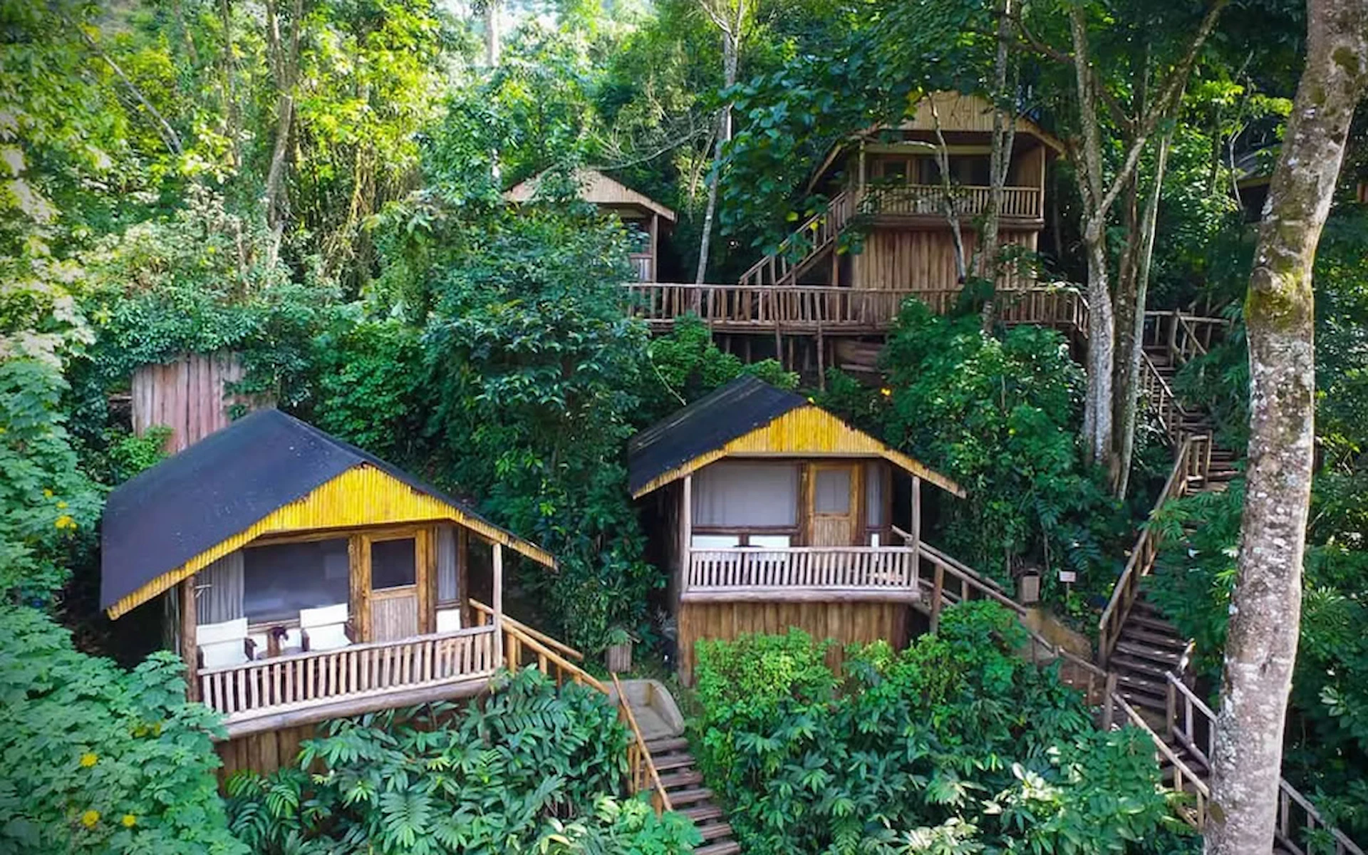 Bwindi Impenetrable National Park – Lodge — photo 5