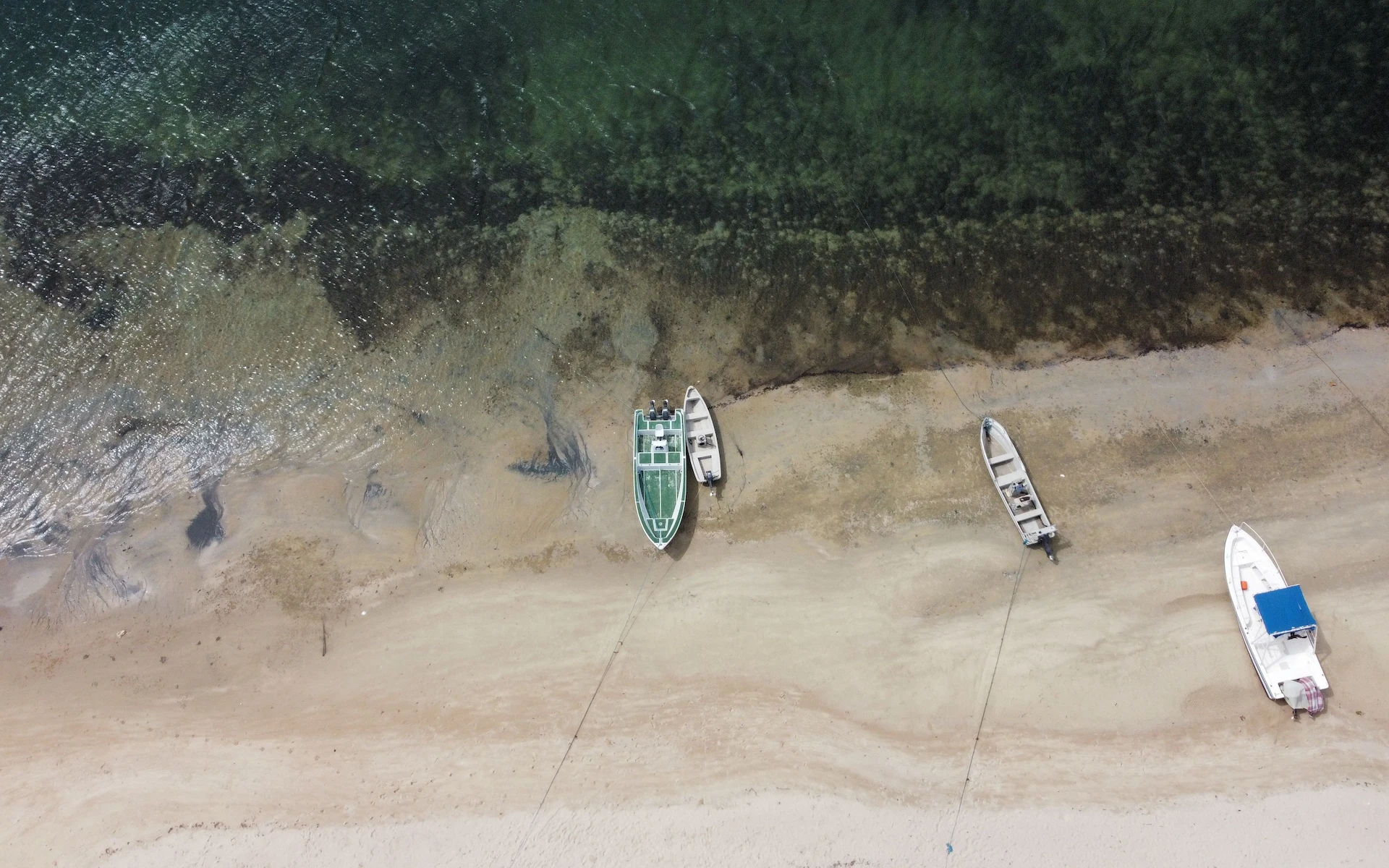 Lamu Island — photo 5
