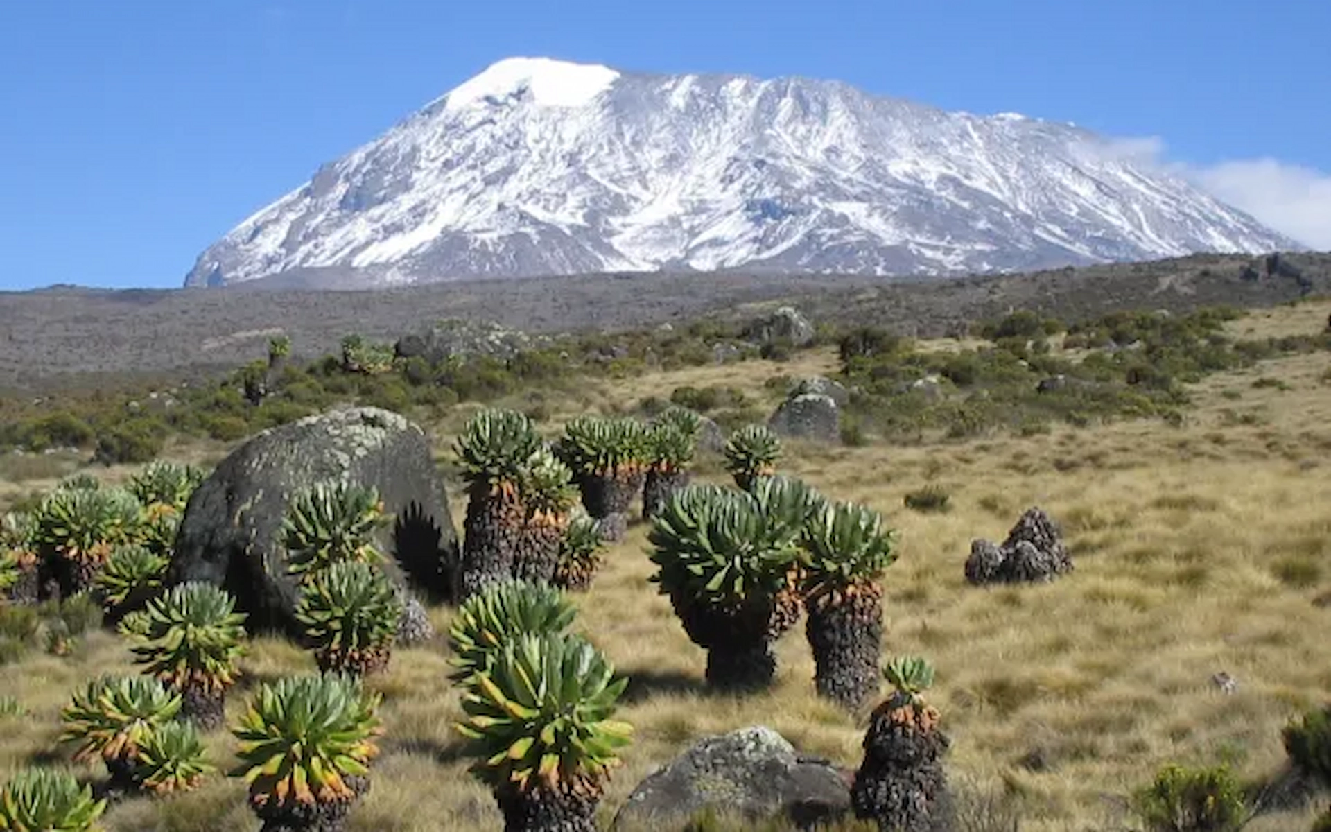 Kilimanjaro National Park — photo 3