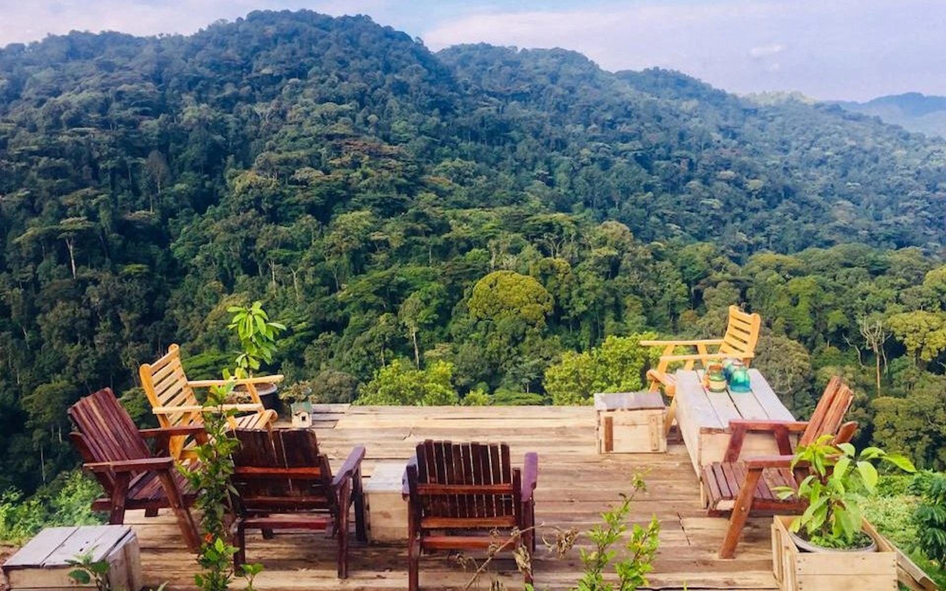 Bwindi Impenetrable National Park – Lodge — photo 1
