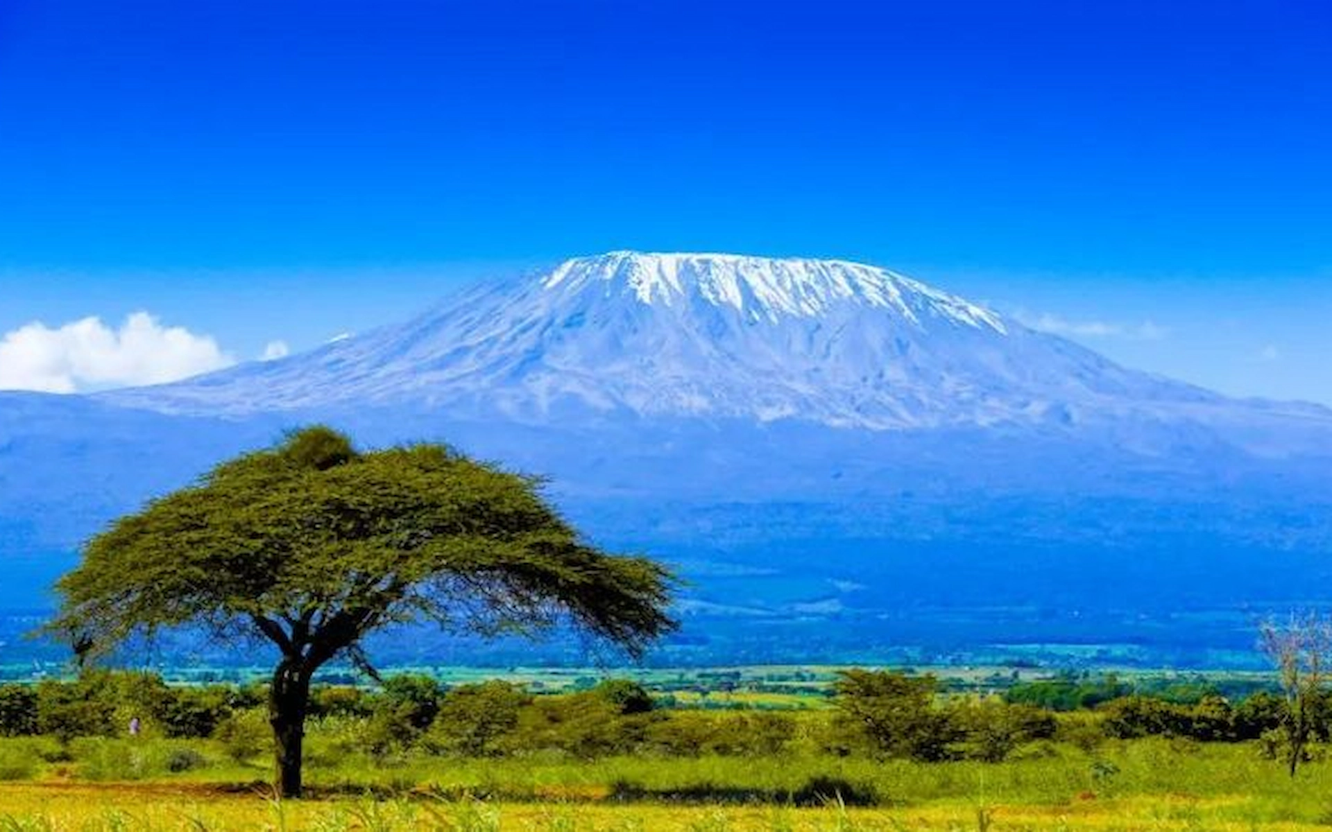 Kilimanjaro National Park — photo 4
