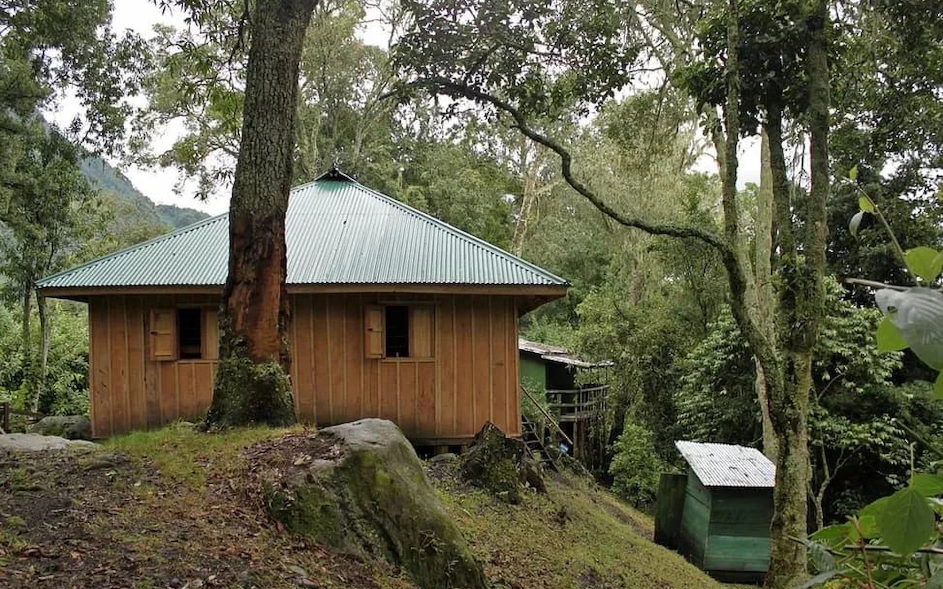  Nyabitaba Camp – 2,651 m — photo 2