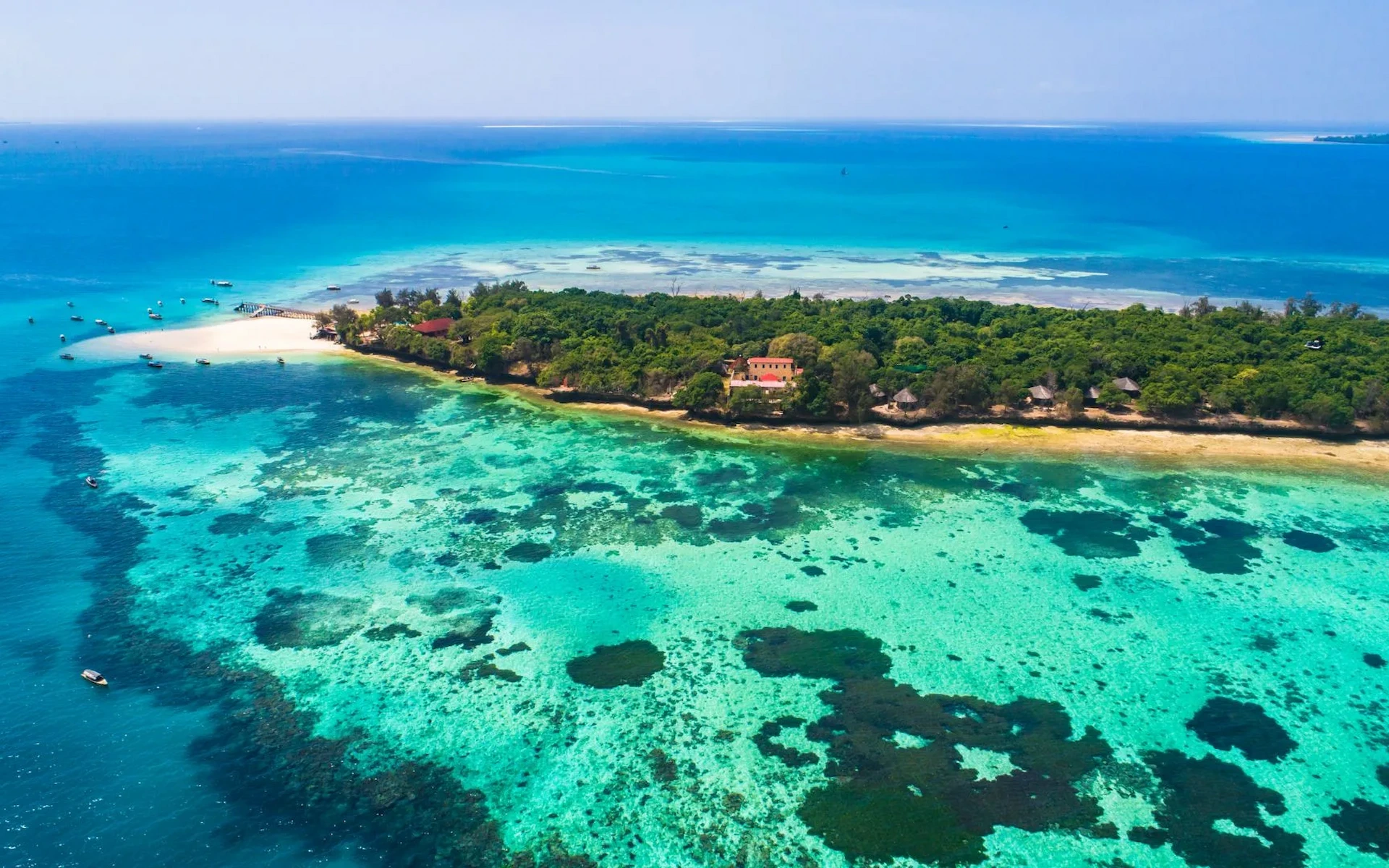 Zanzibar Island  — photo 3