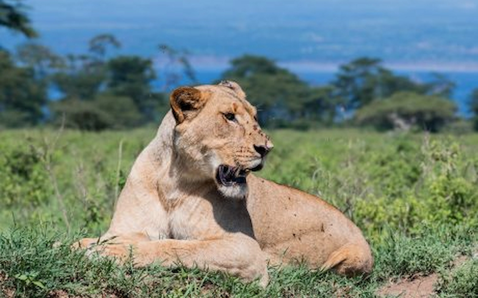  Lake Nakuru National Park — photo 4
