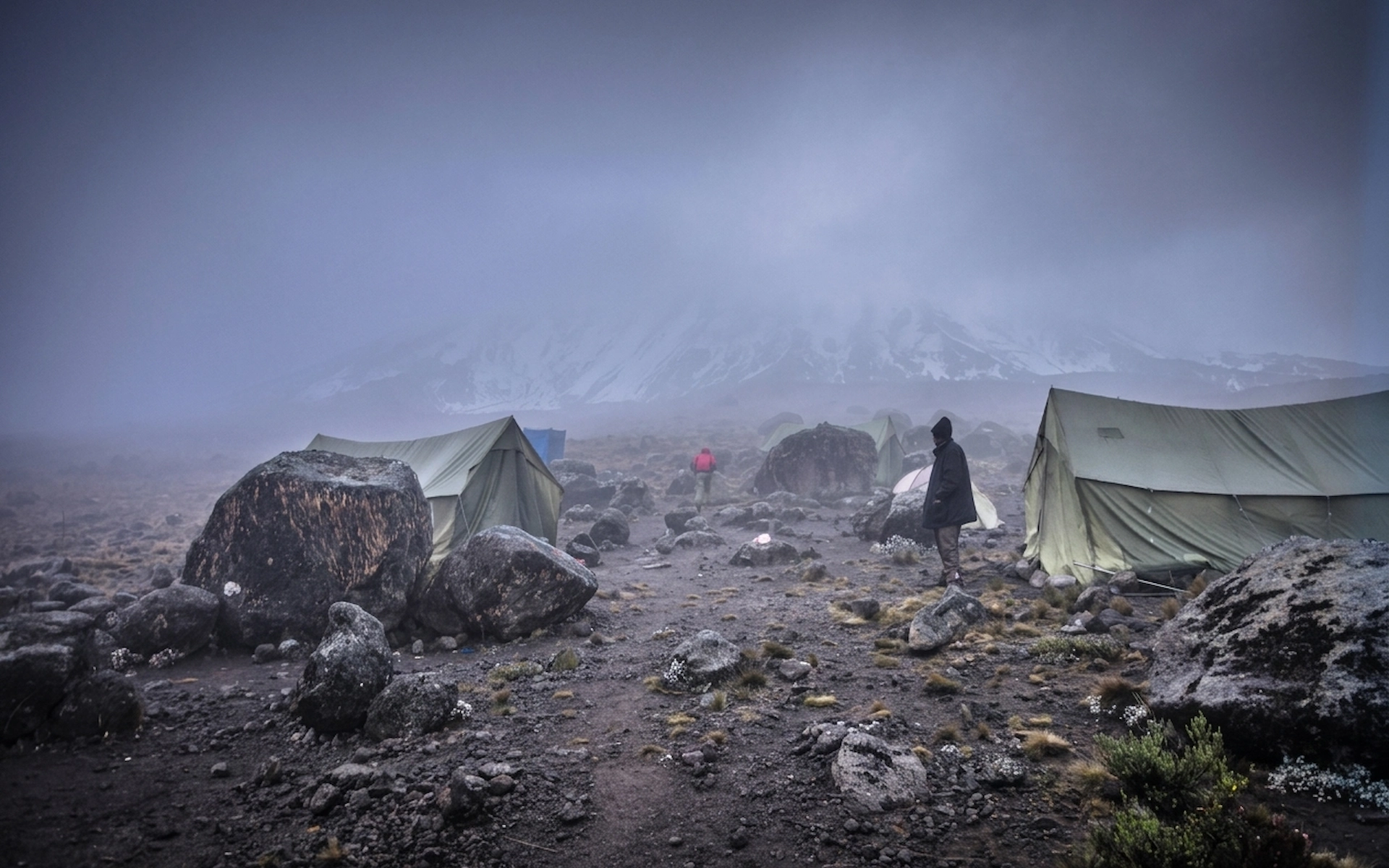 Buffalo Camp – 4,020 Metres — photo 1