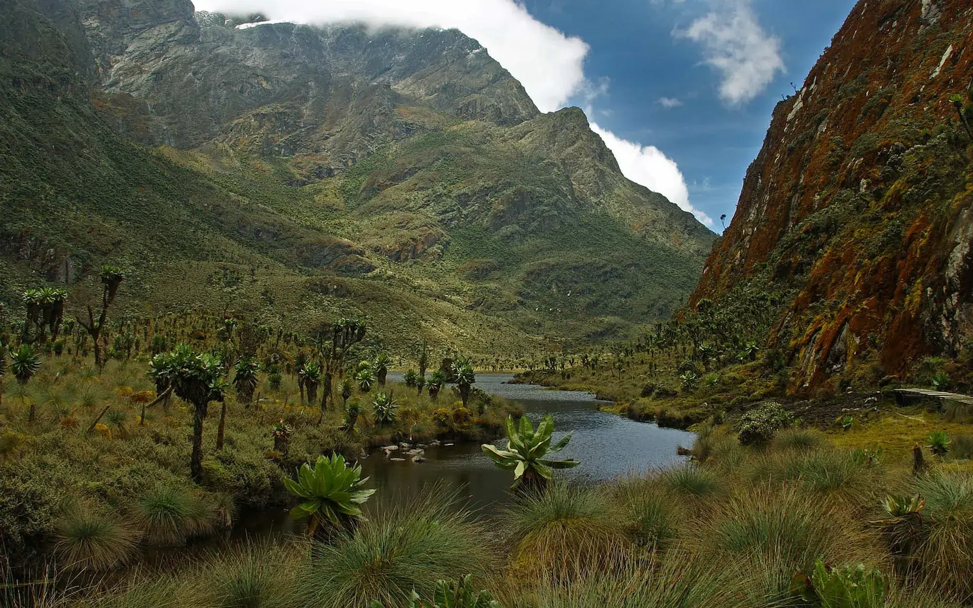 Kitandara Camp – 4,430 m — photo 3