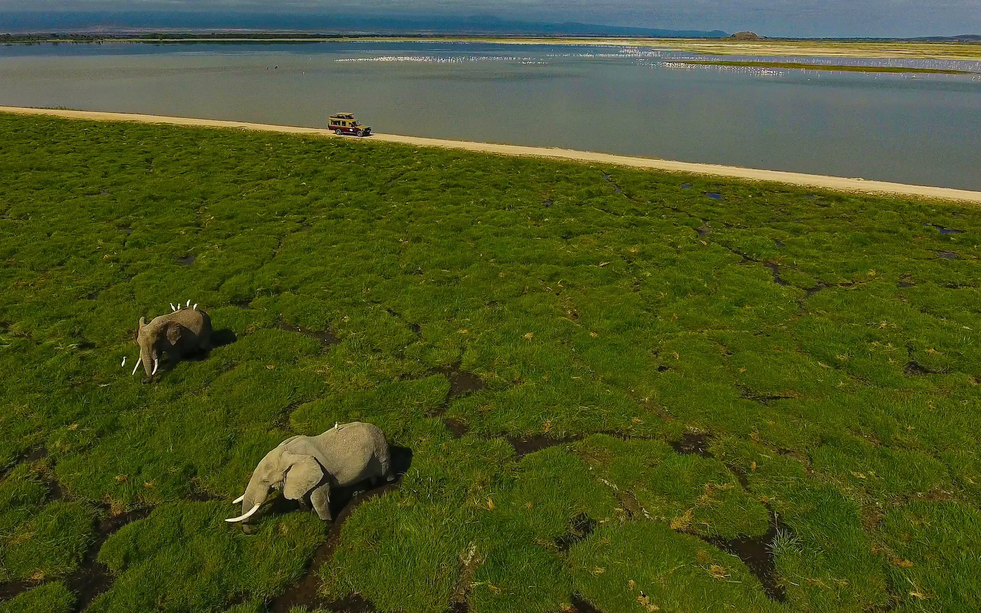 Amboseli National Park — photo 1