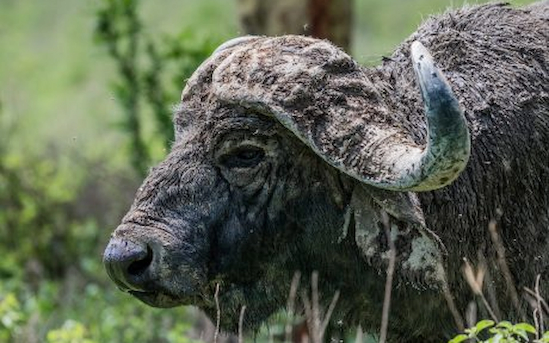 Lake Nakuru National Park — photo 1
