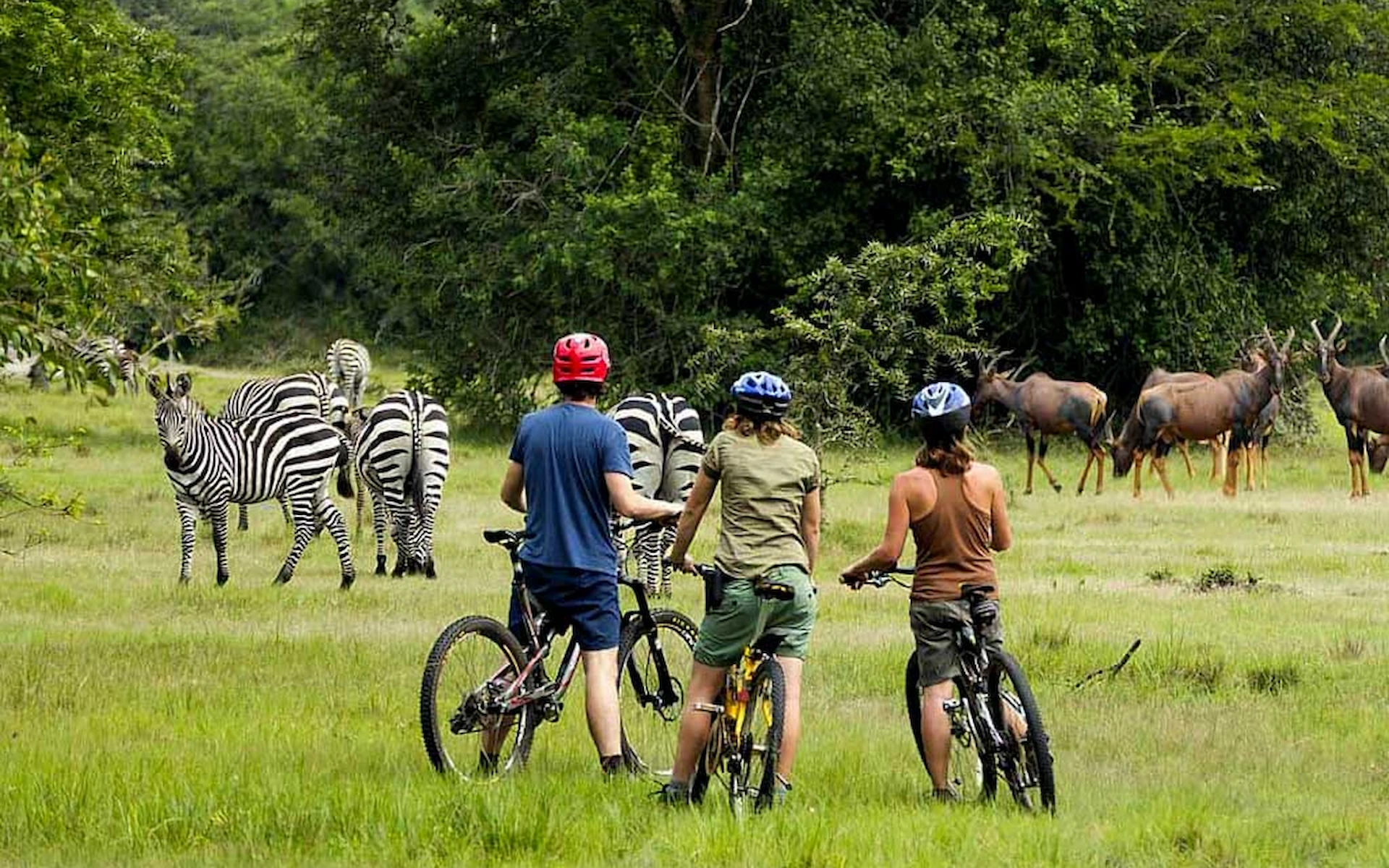 Lake Mburo National Park — photo 3