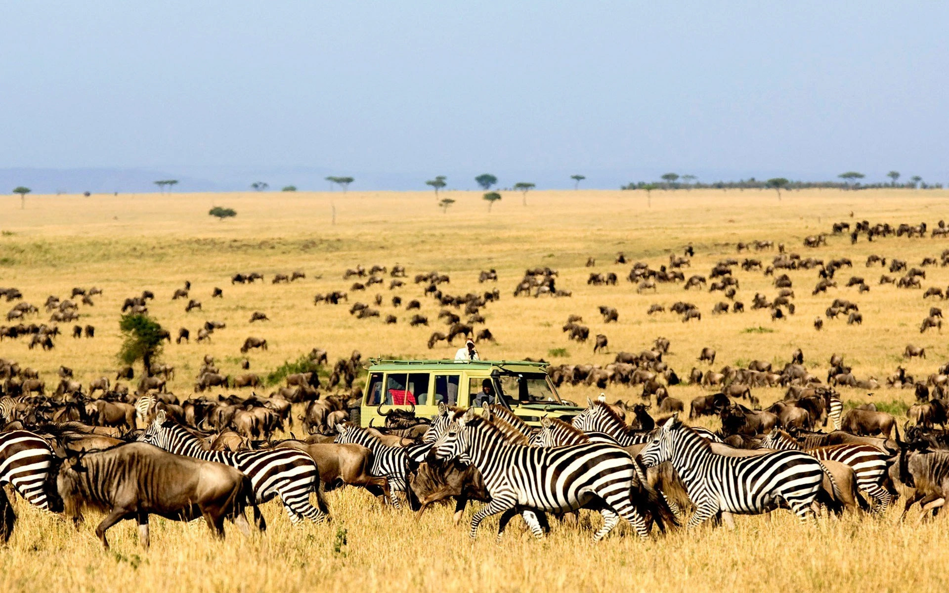  Kidepo Valley National Park — photo 5