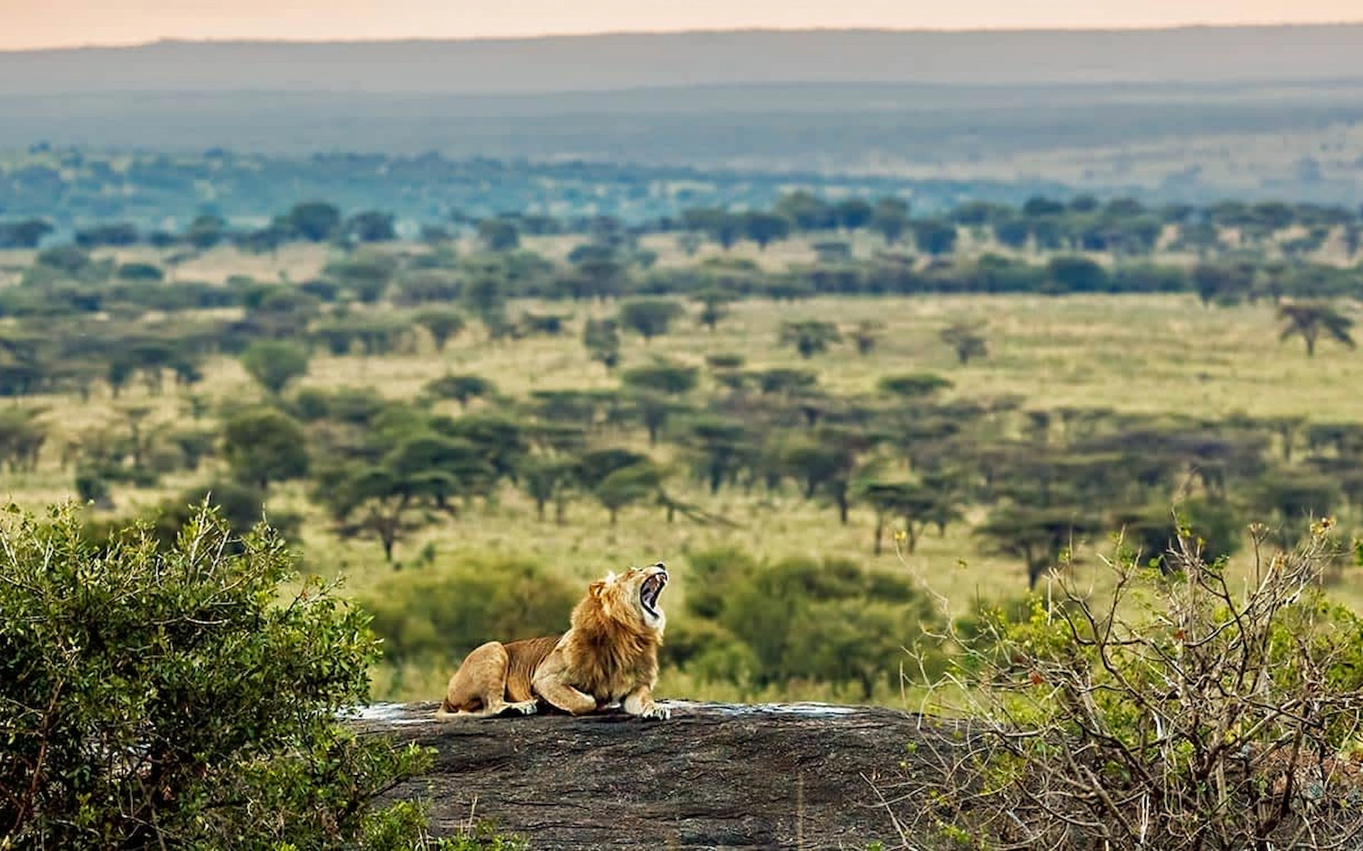 Serengeti National Park — photo 5