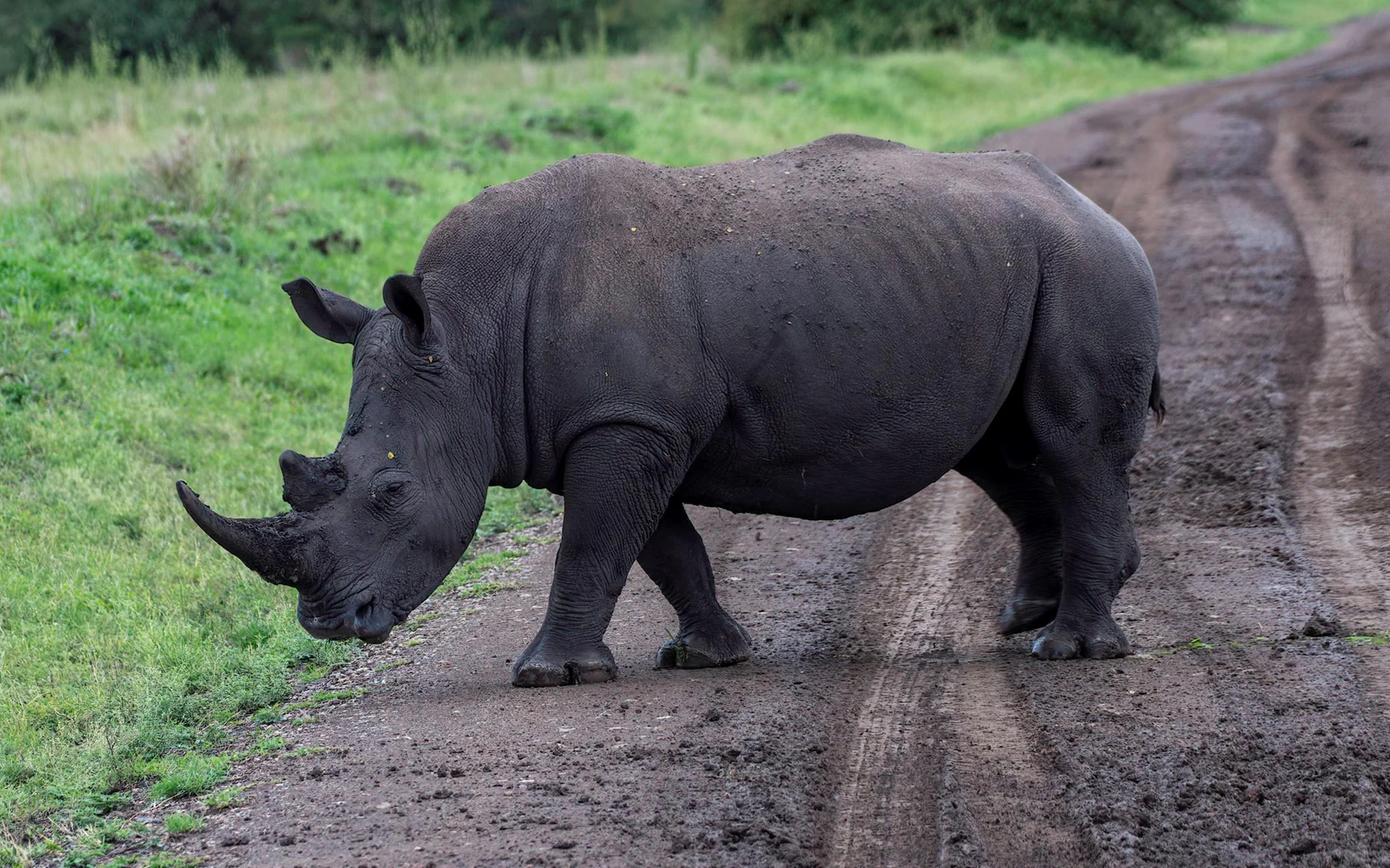Nairobi National Park — photo 5